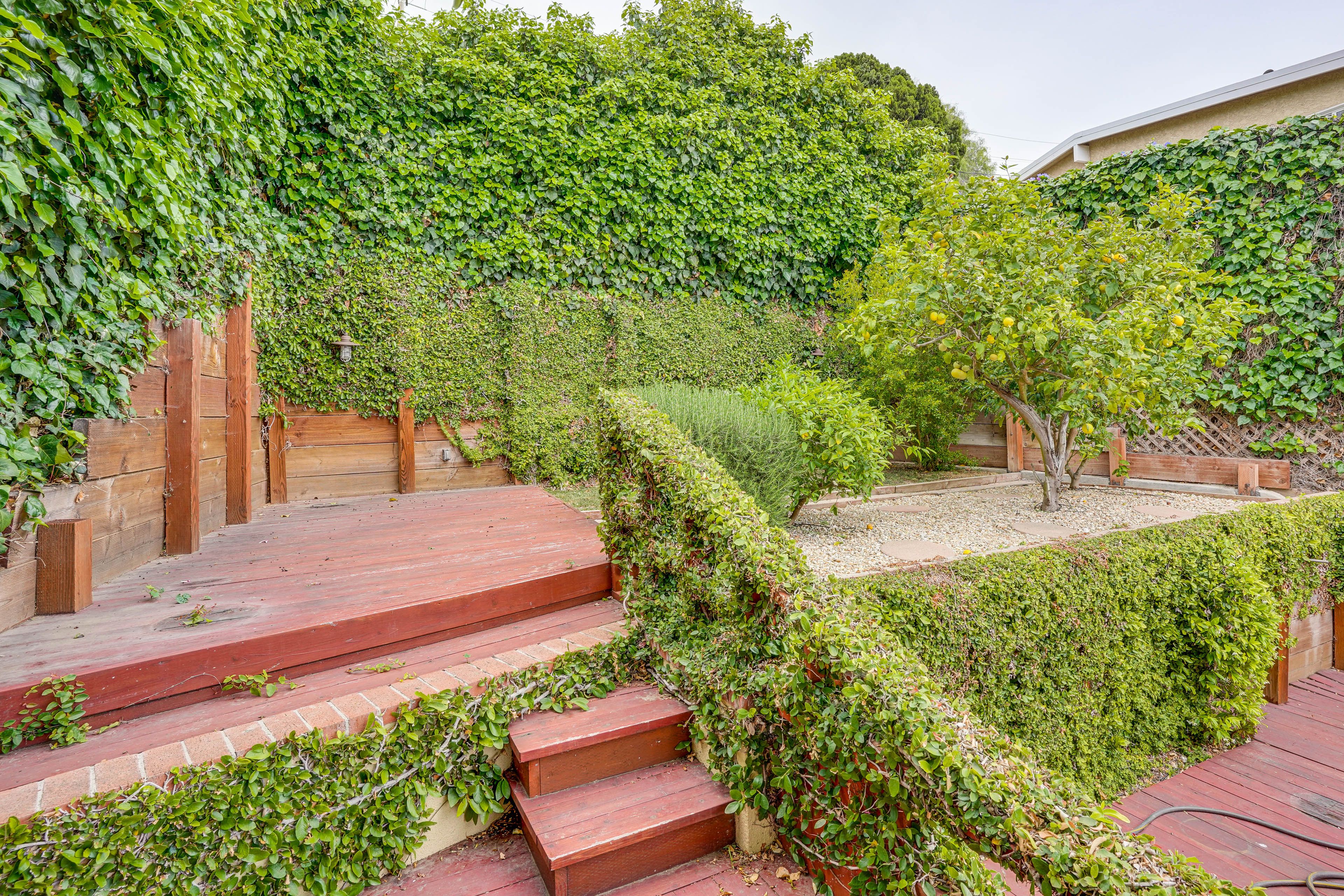 Private Yard | Deck