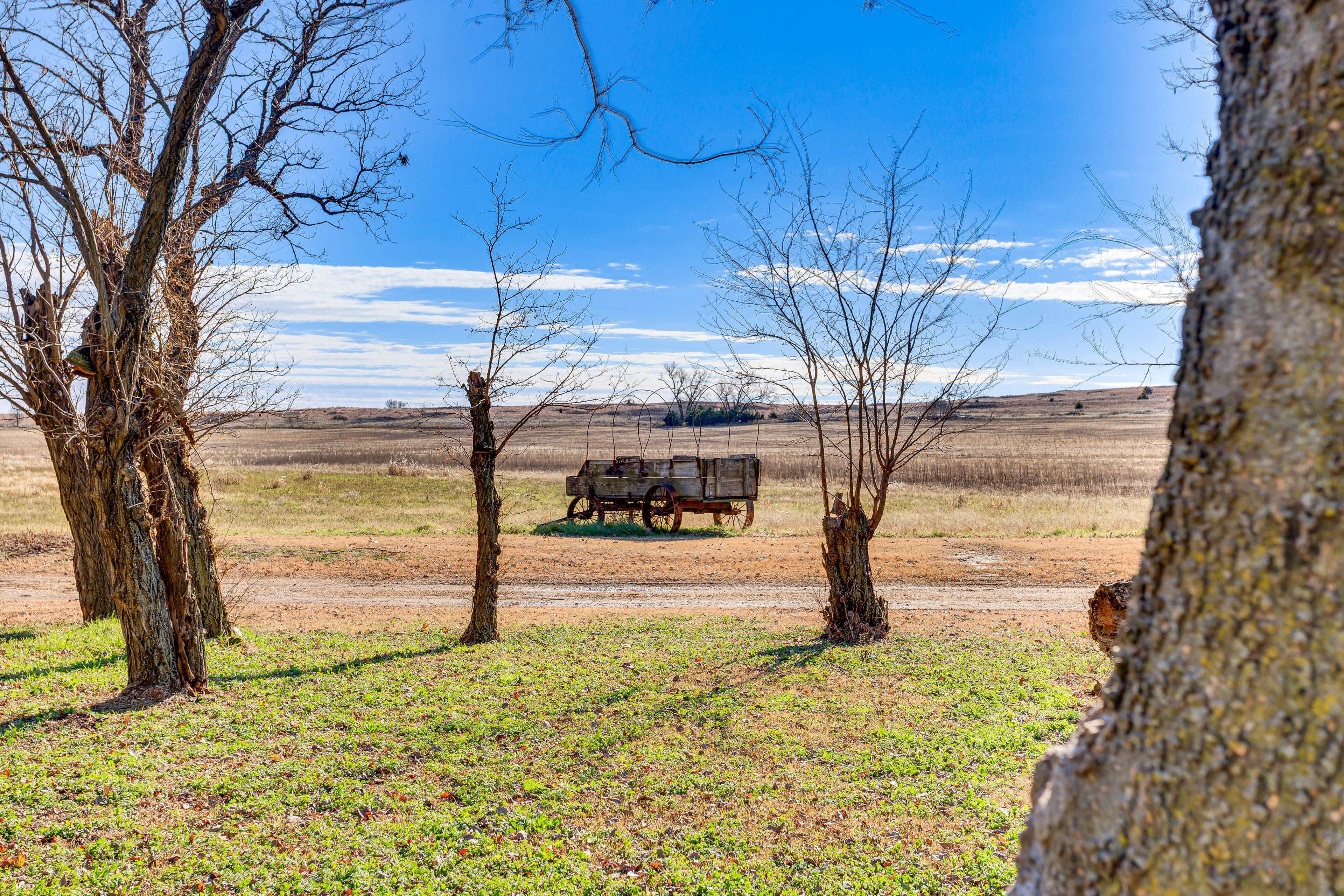 Surrounding Property | Texas Longhorns On-Site