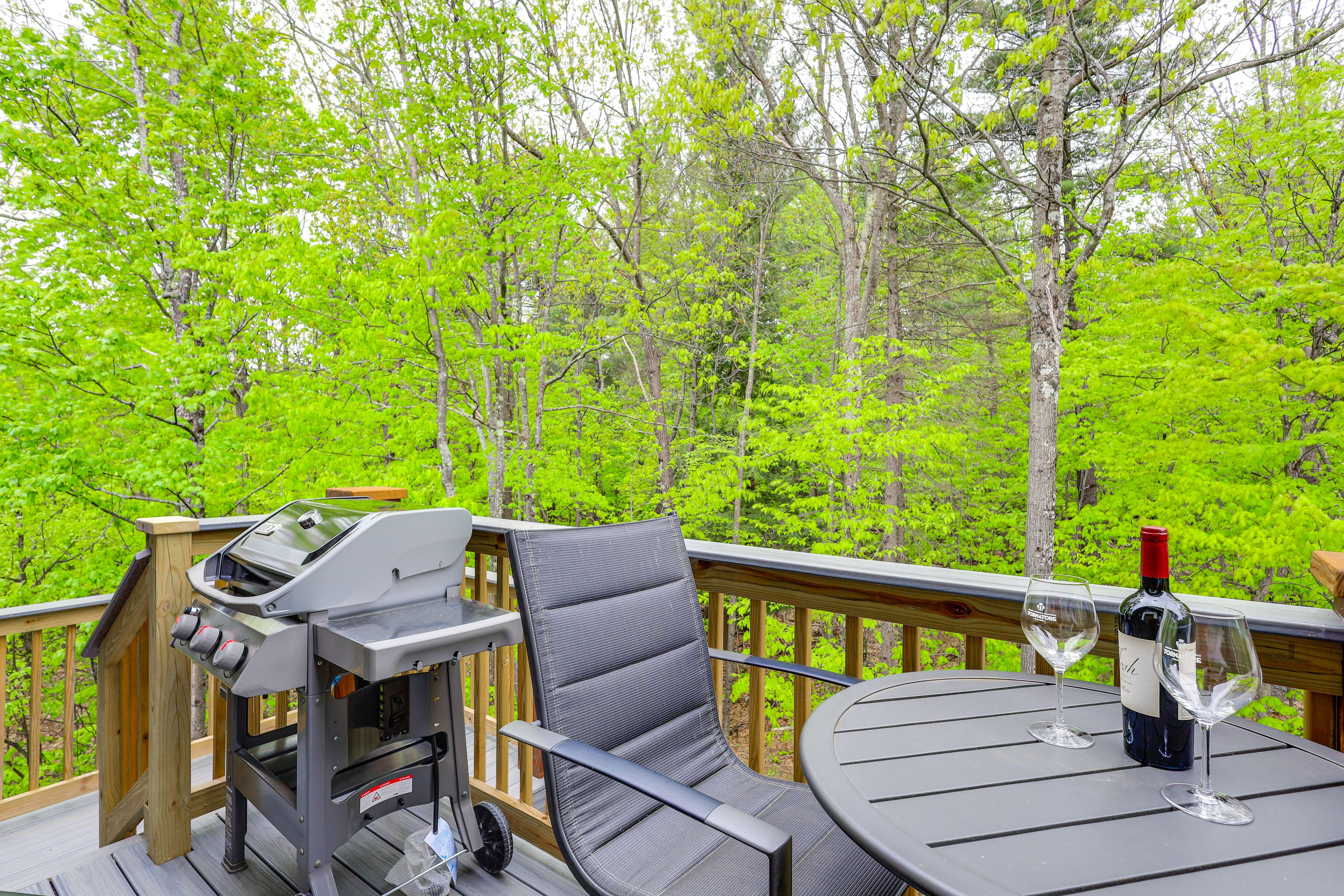 Deck | Gas Grill