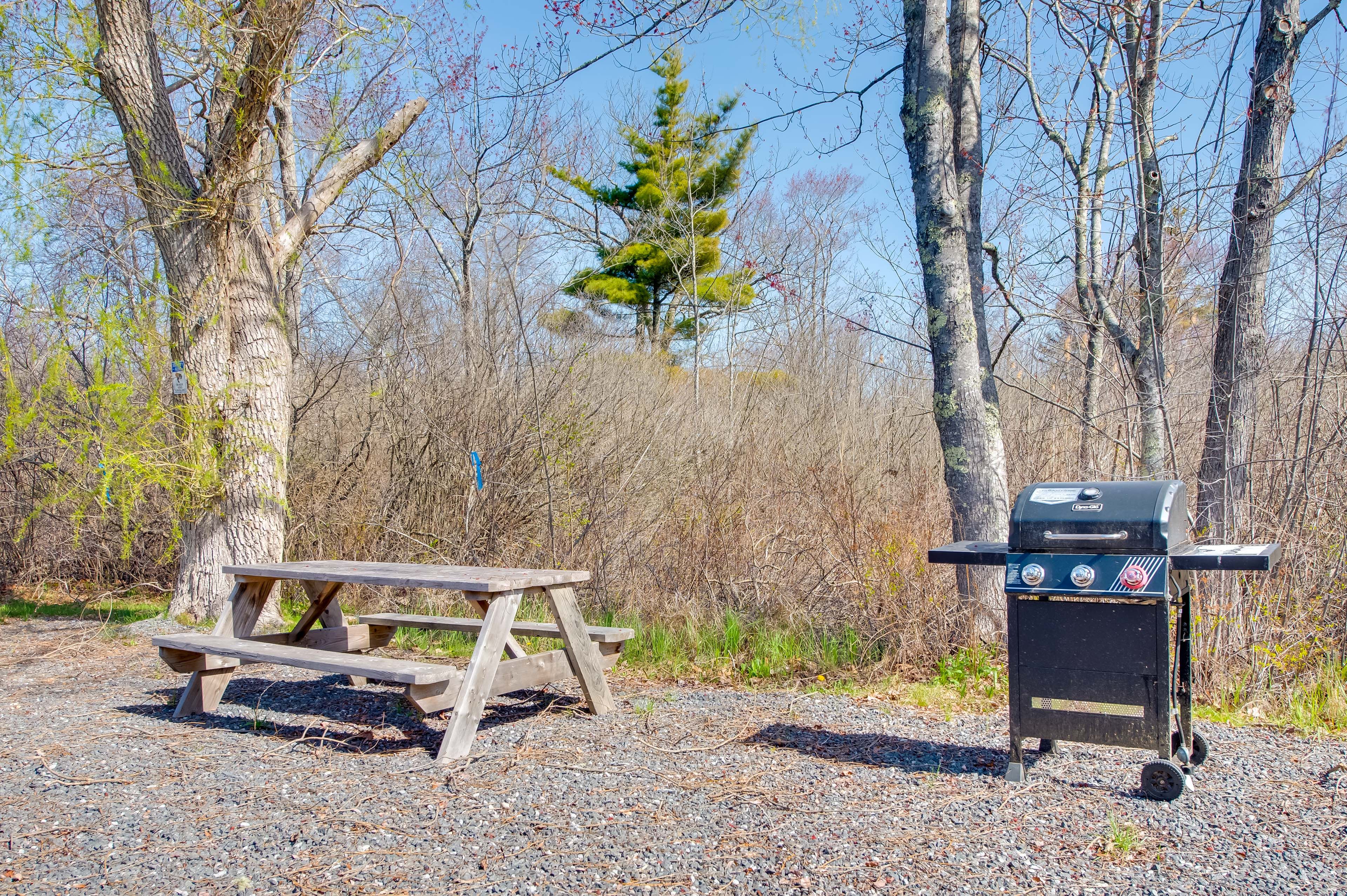 Private Gas Grill | Picnic Table | Shared Fire Pits