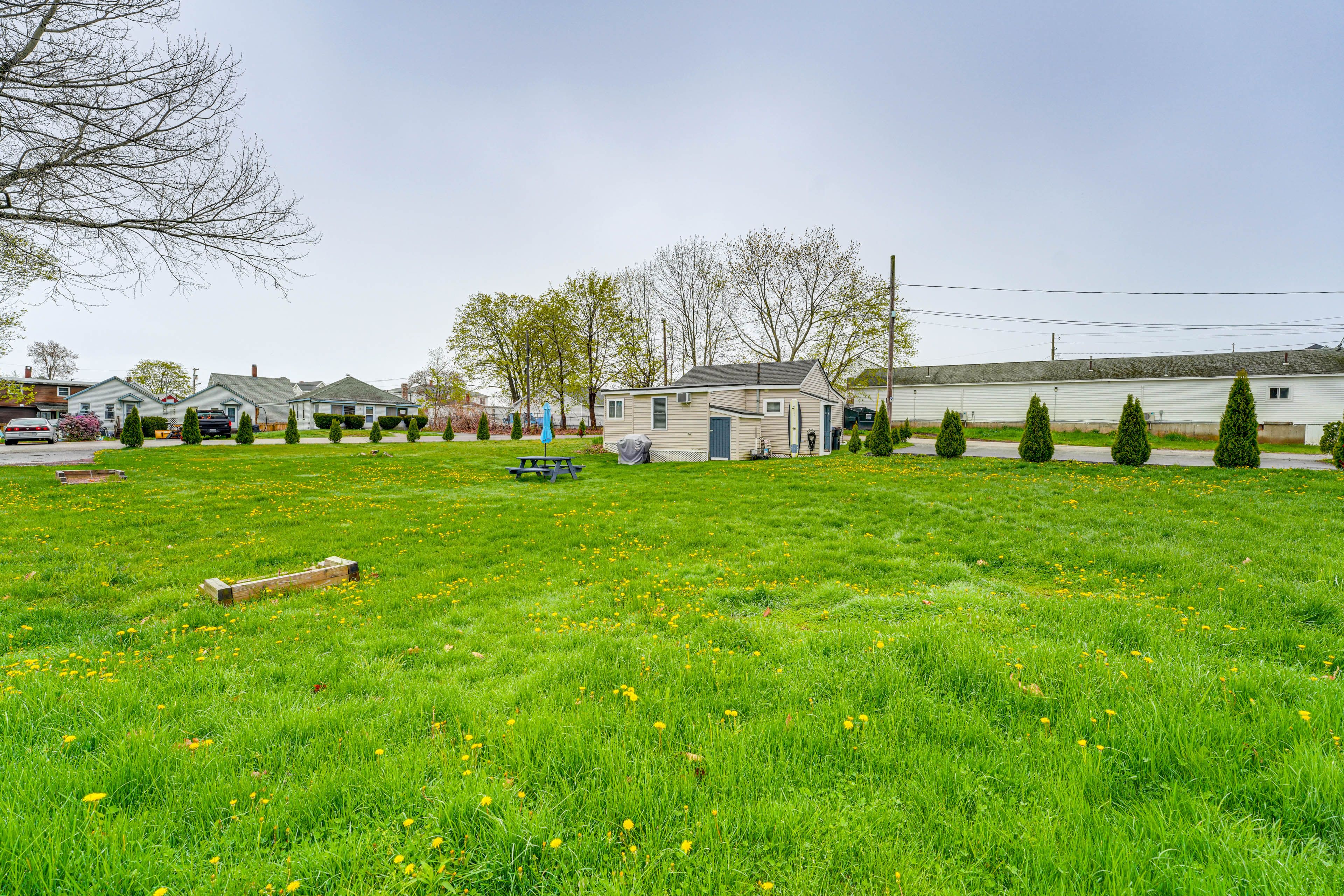 Spacious Yard