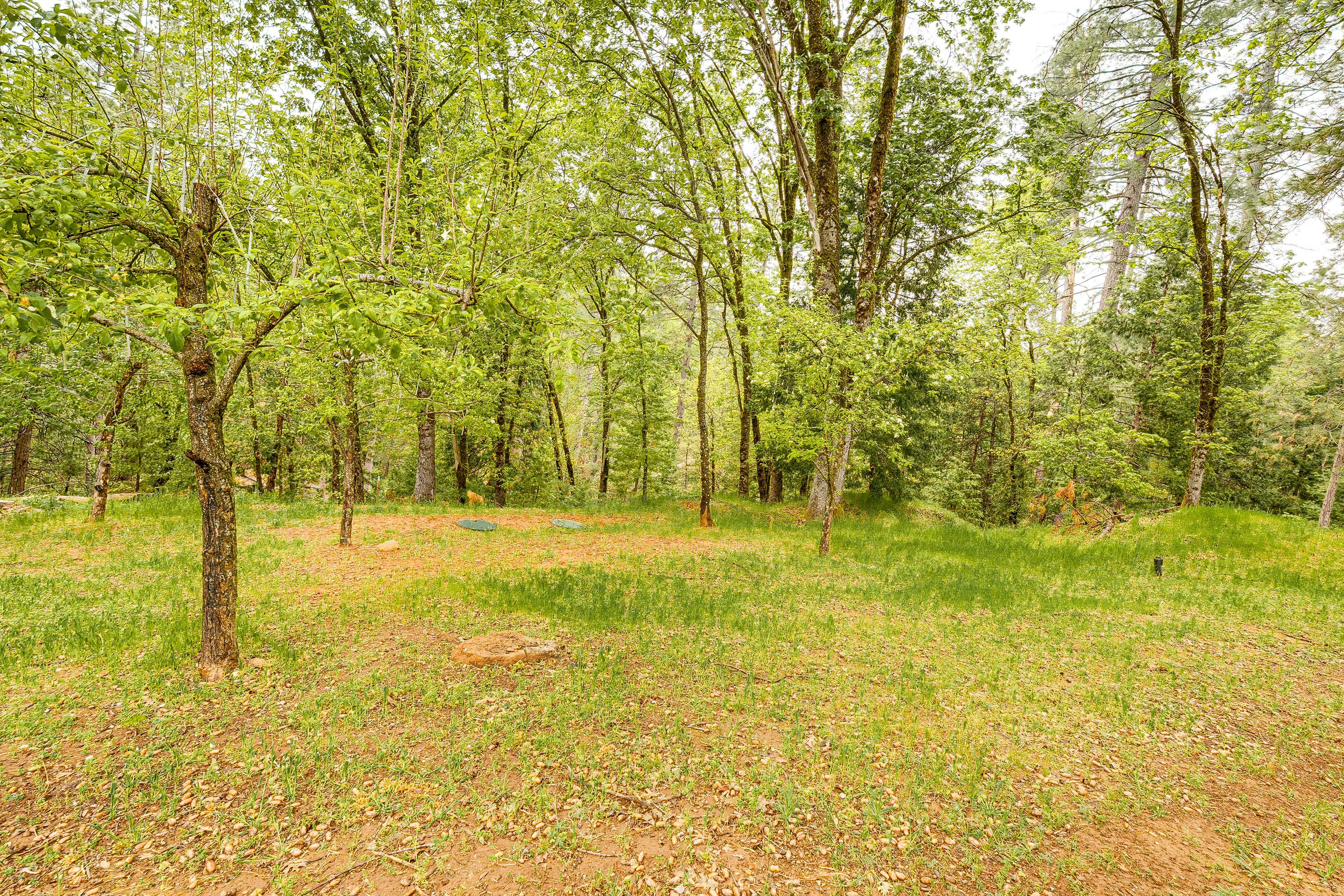 Surrounding Area