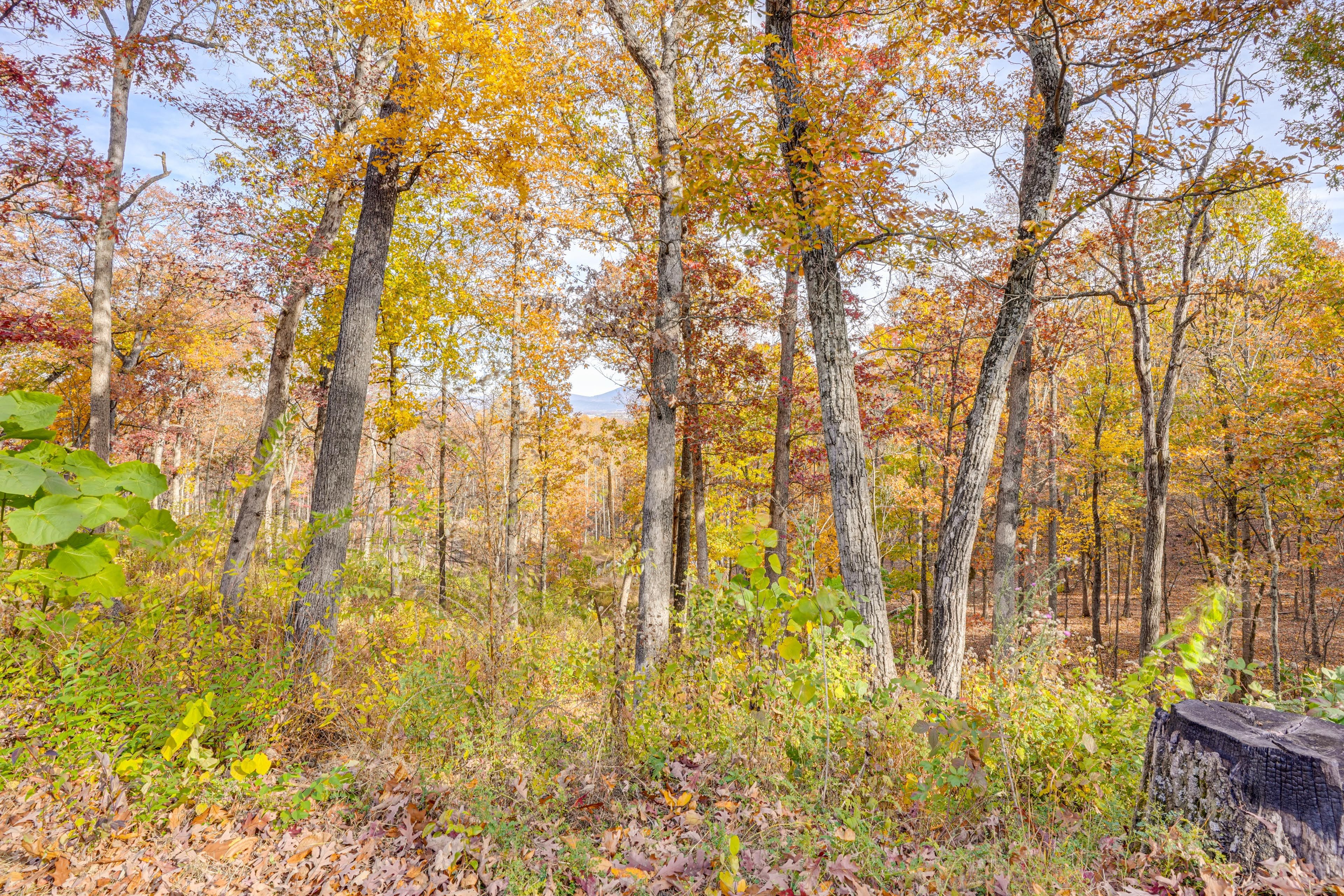 Property Surroundings