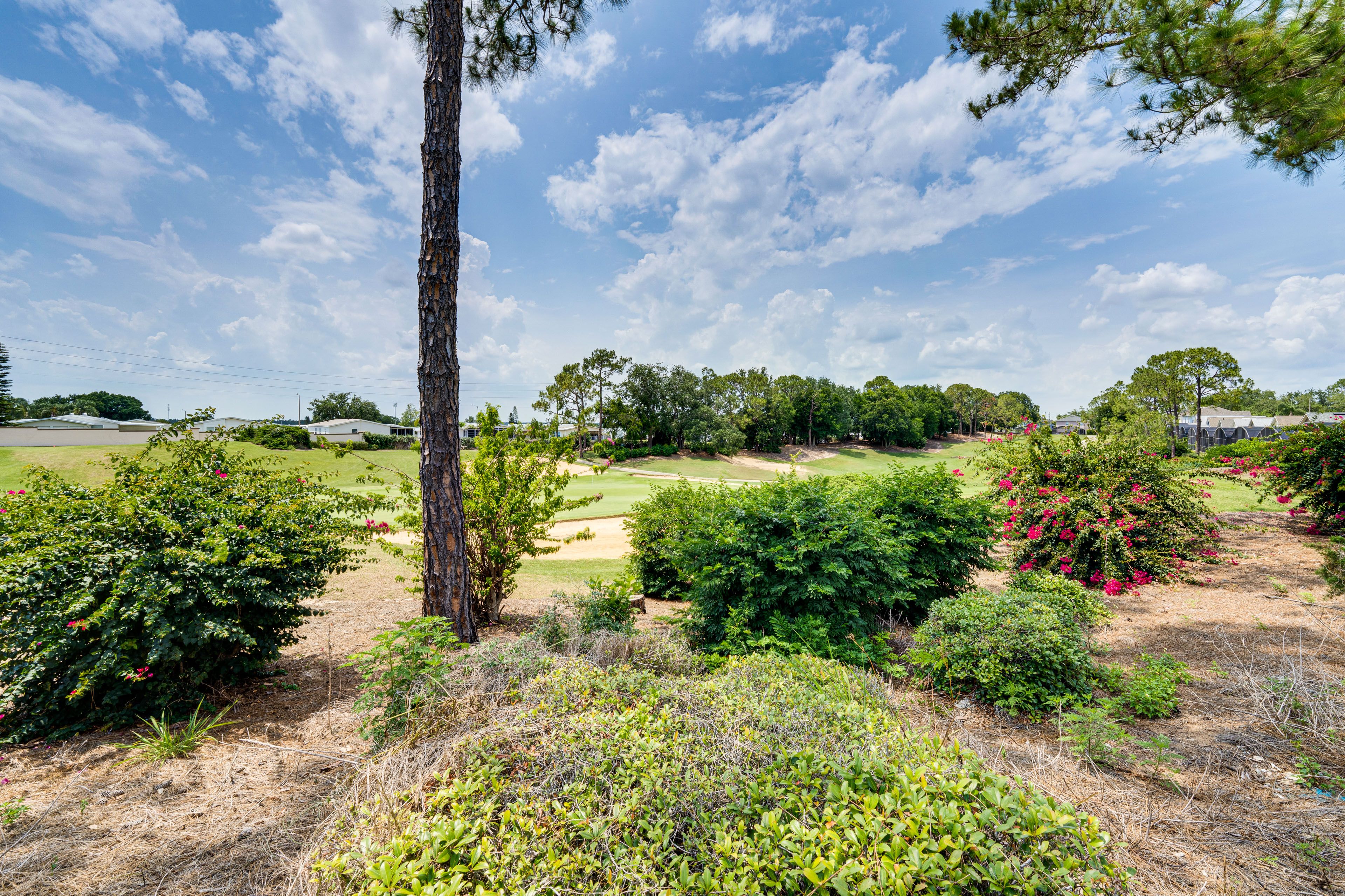 Golf Course View