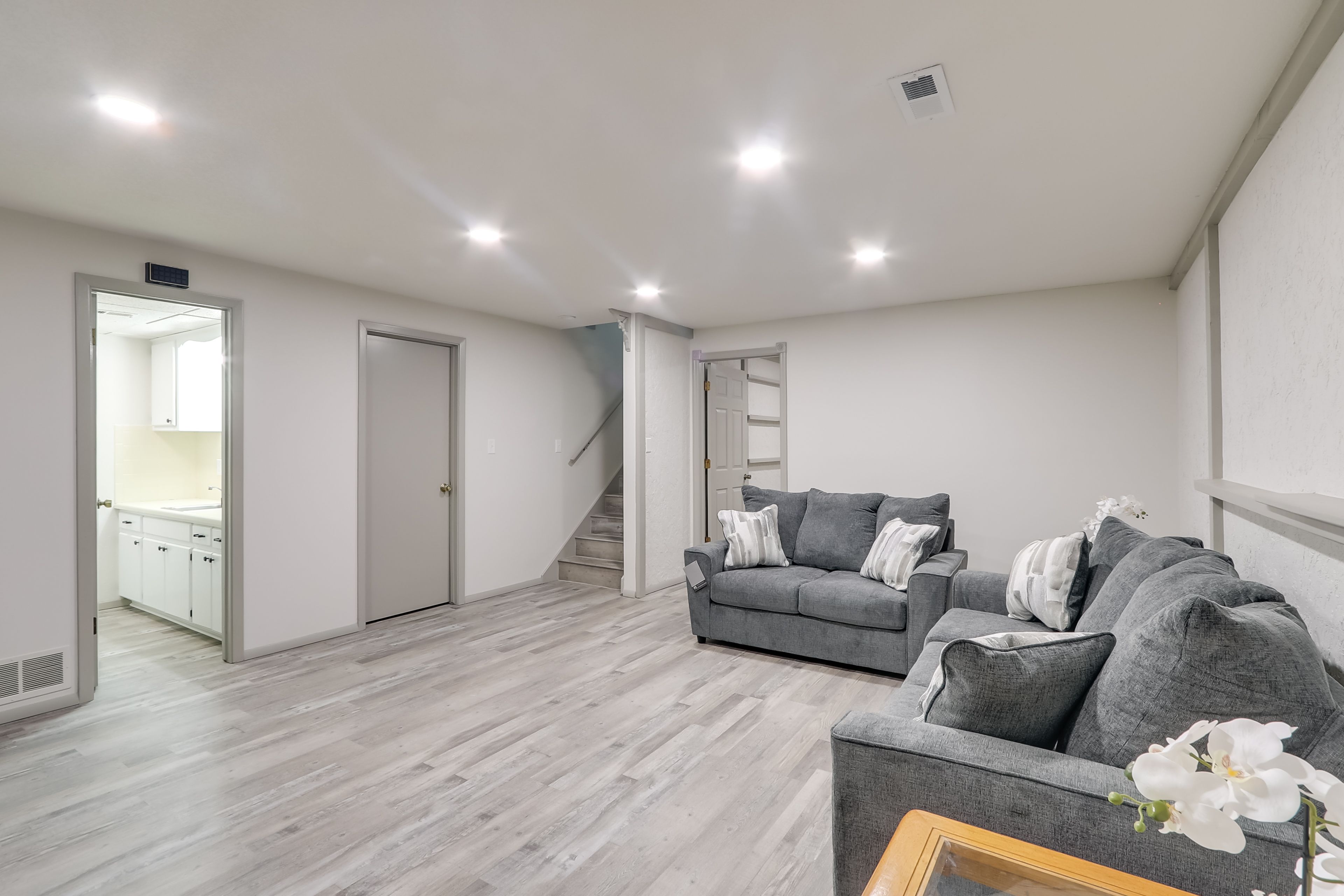 Den | Smart TV | Basement