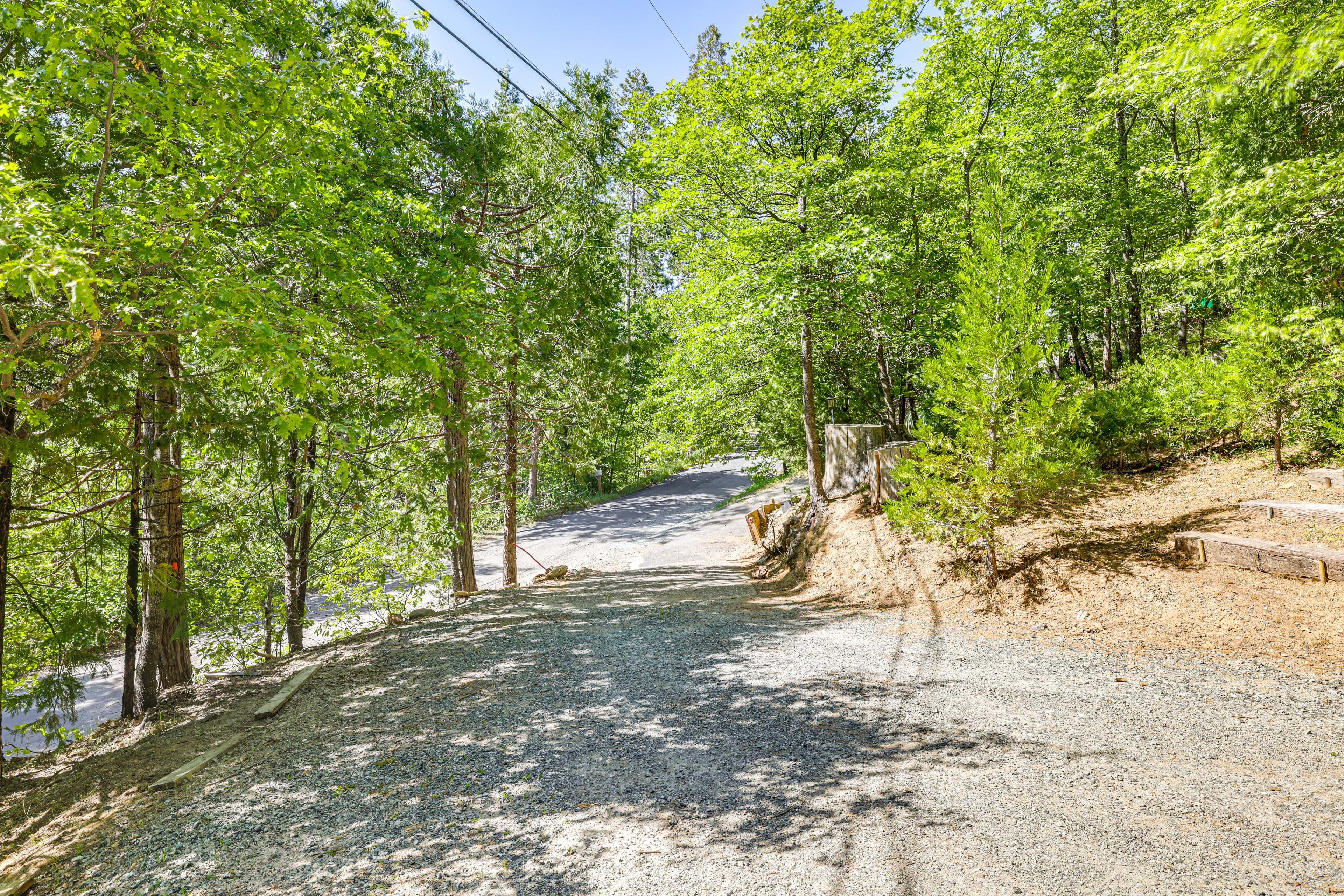 Driveway