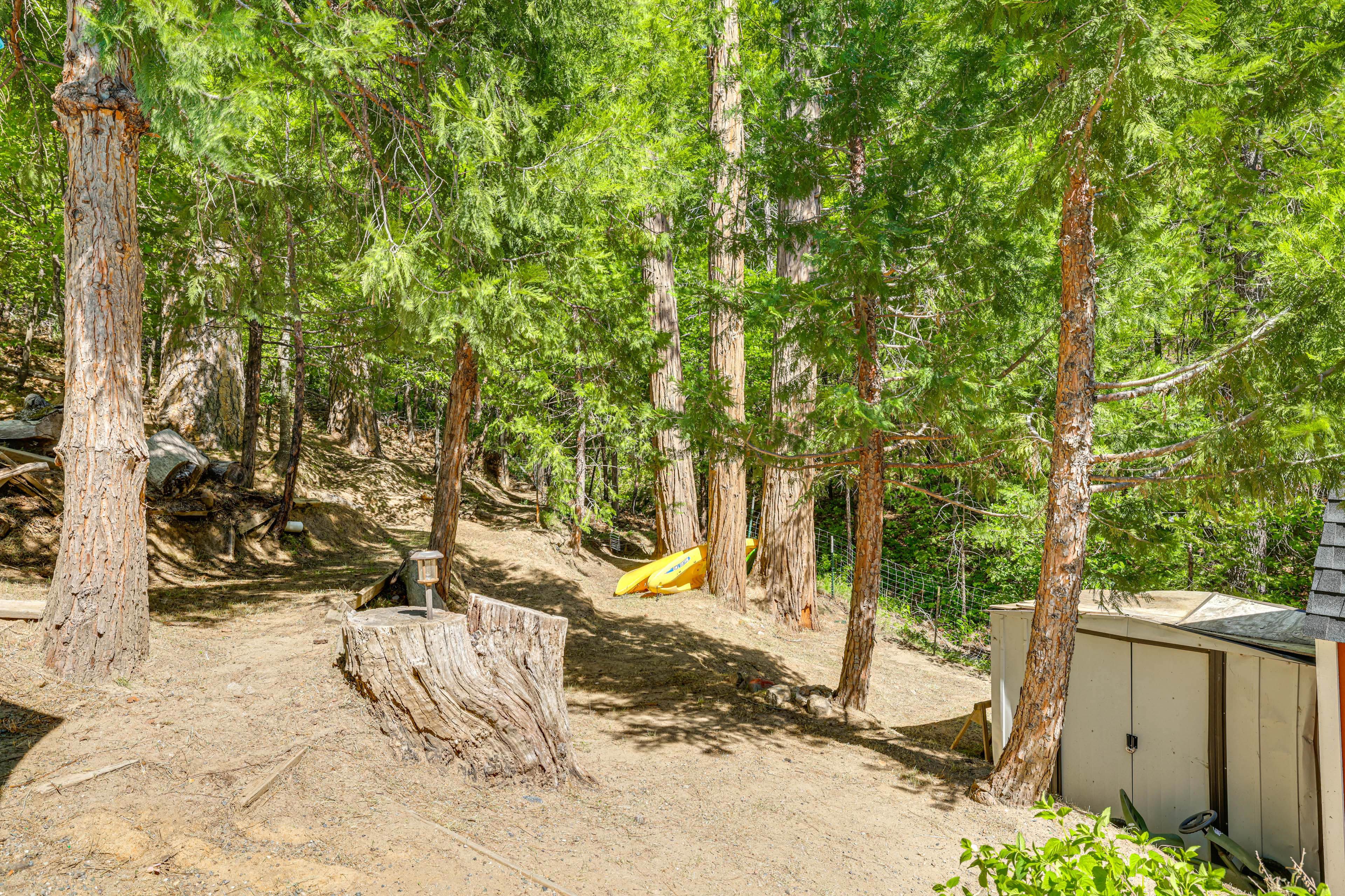 Surrounding Area