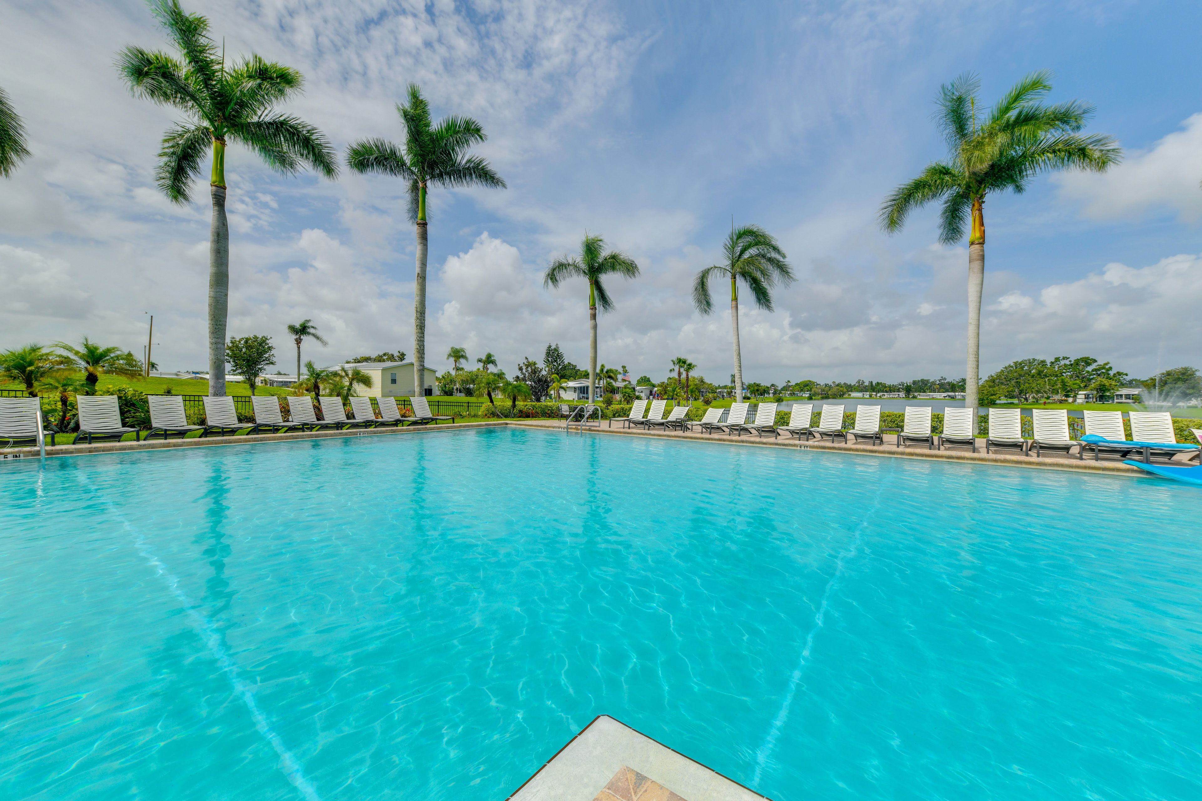 Colony Cove | Community Pool