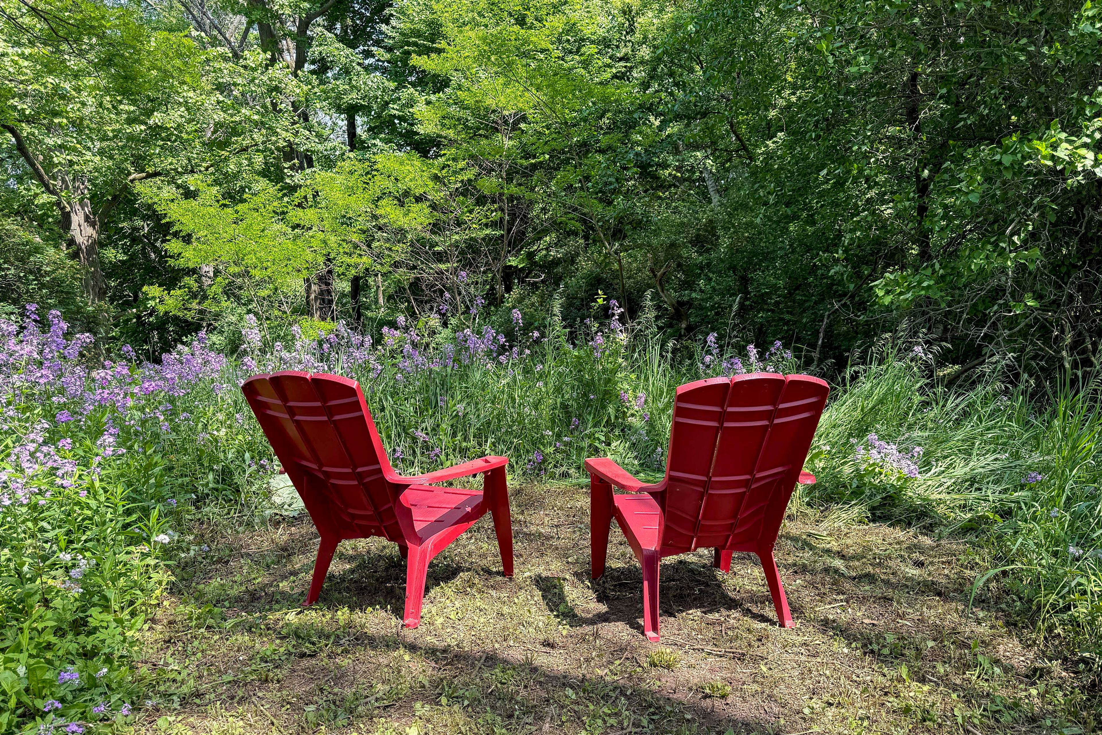 Image 27