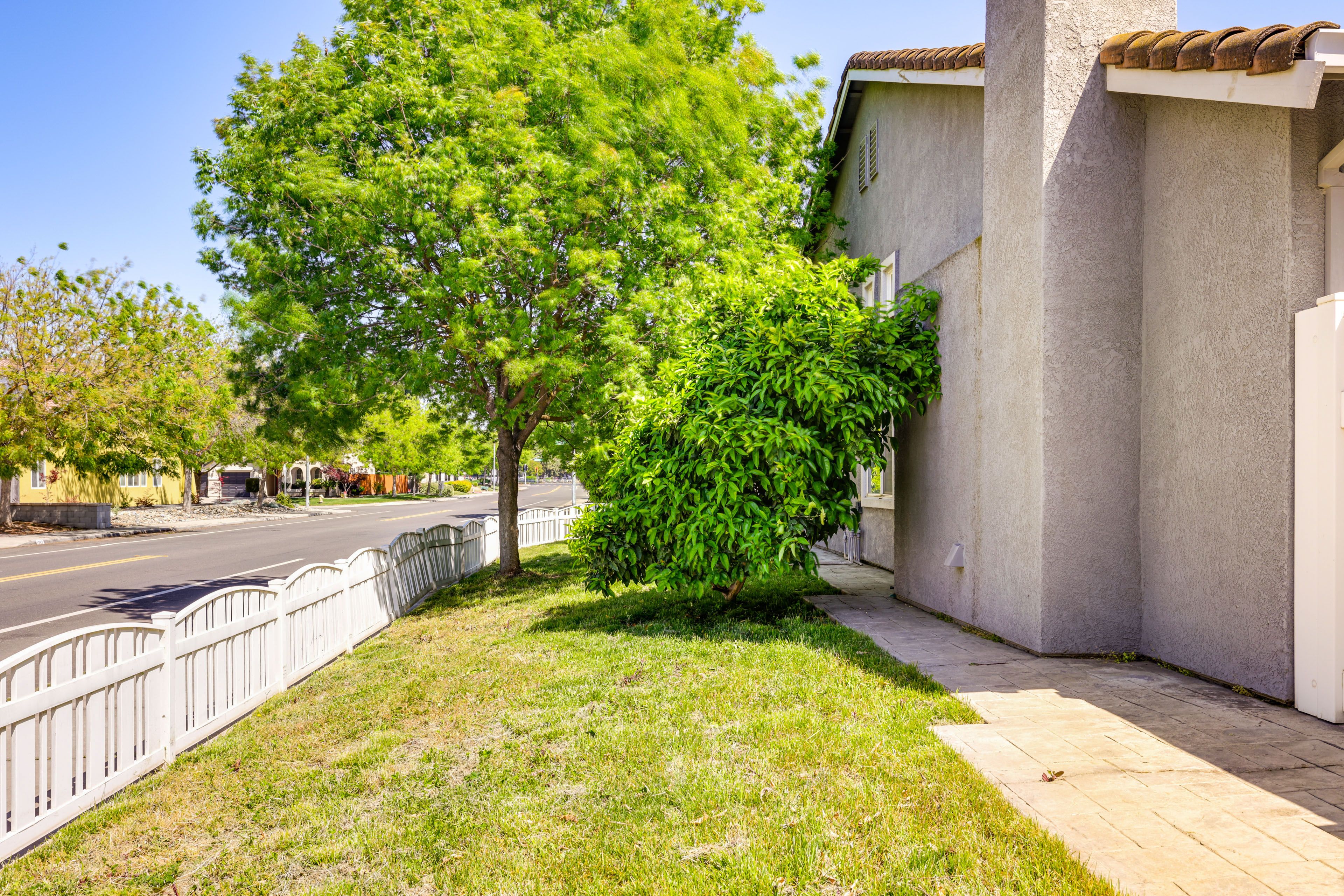 Fenced-In Yard