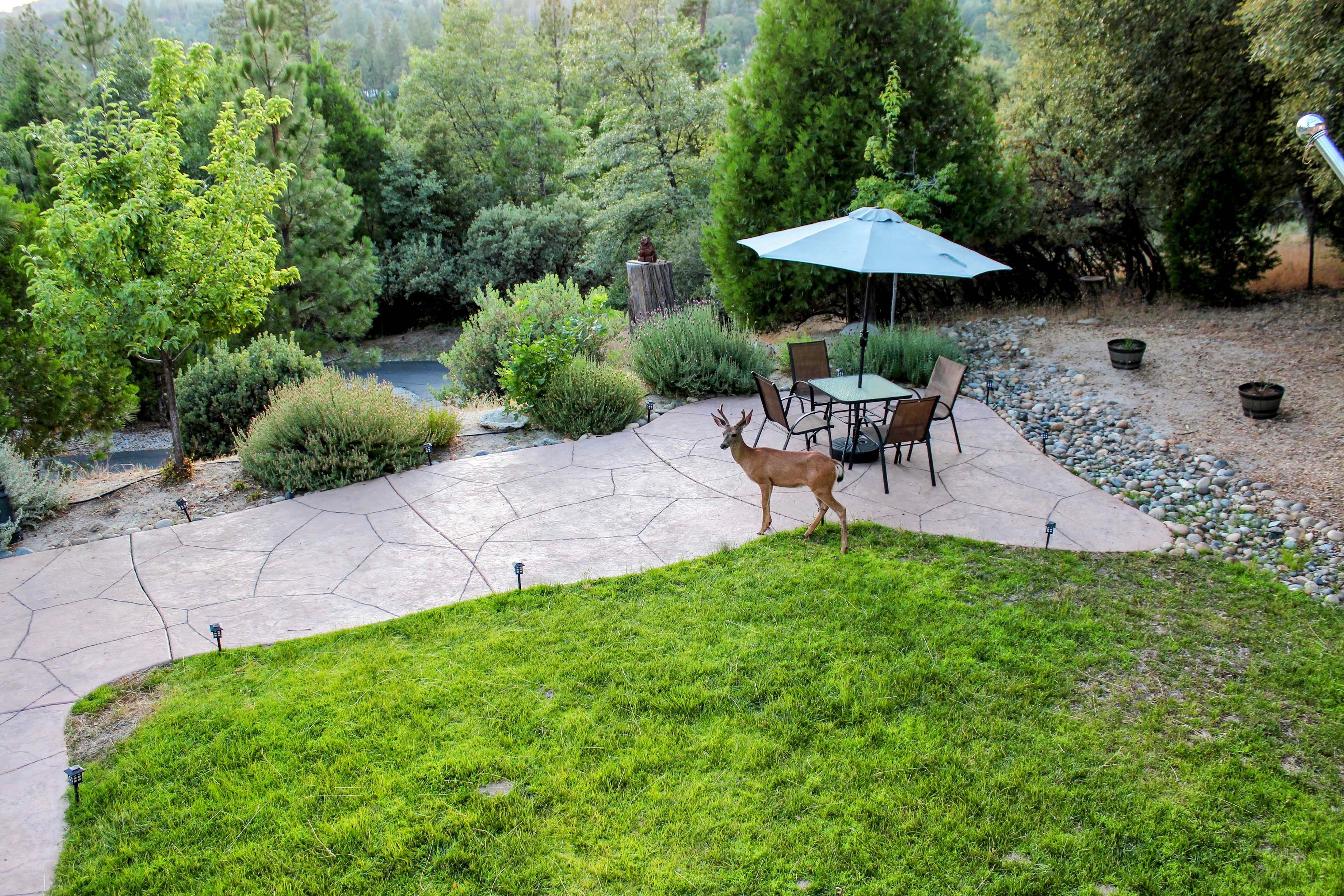 Patio | Dining Area