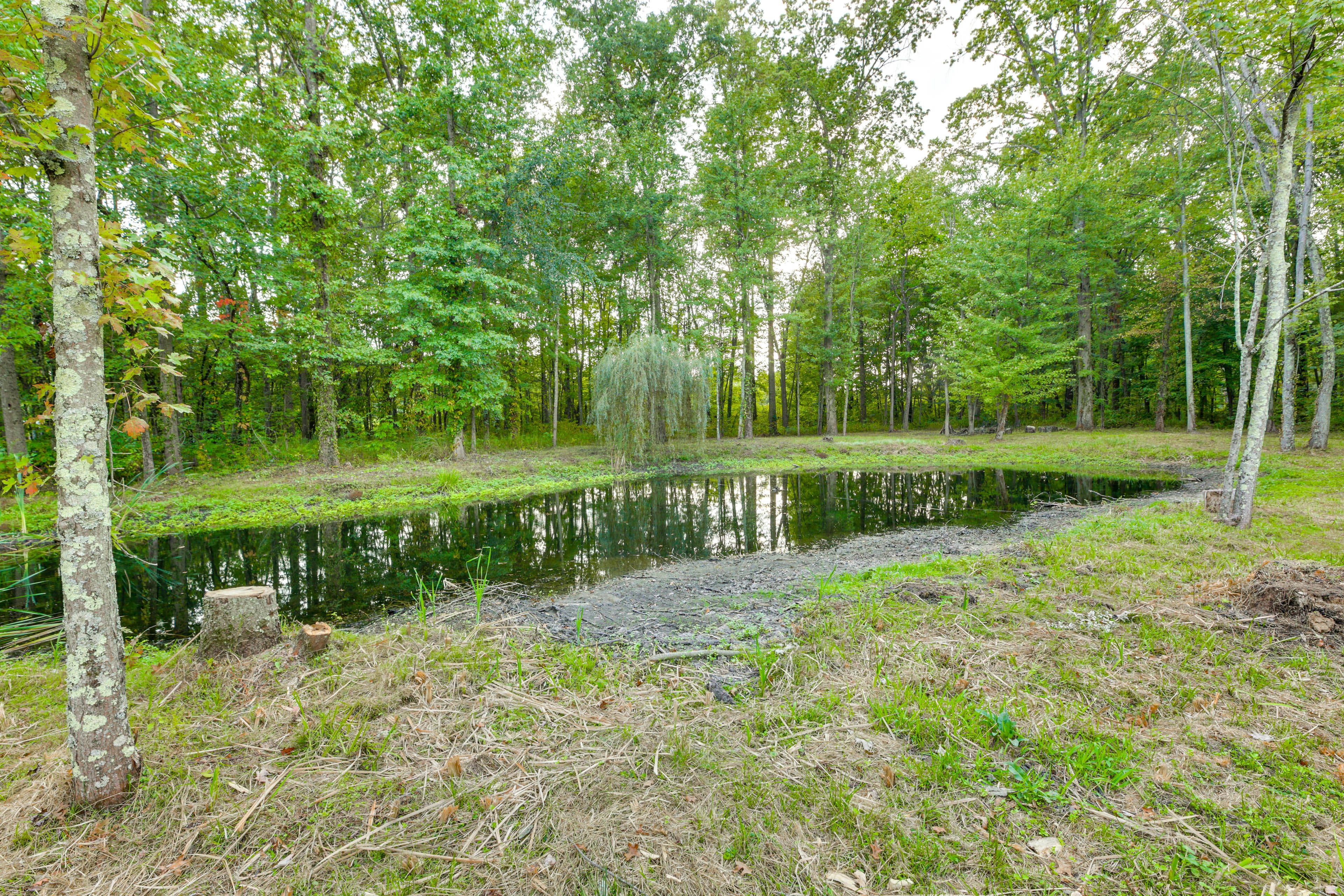 Pond On-Site