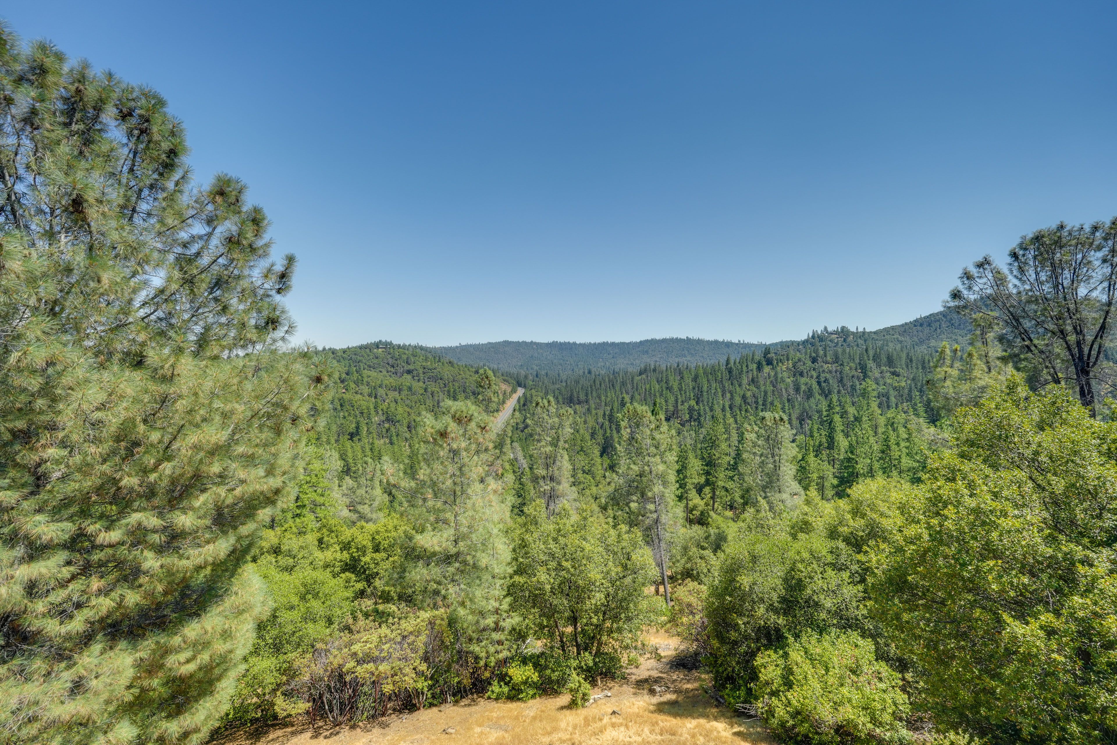 View From Deck