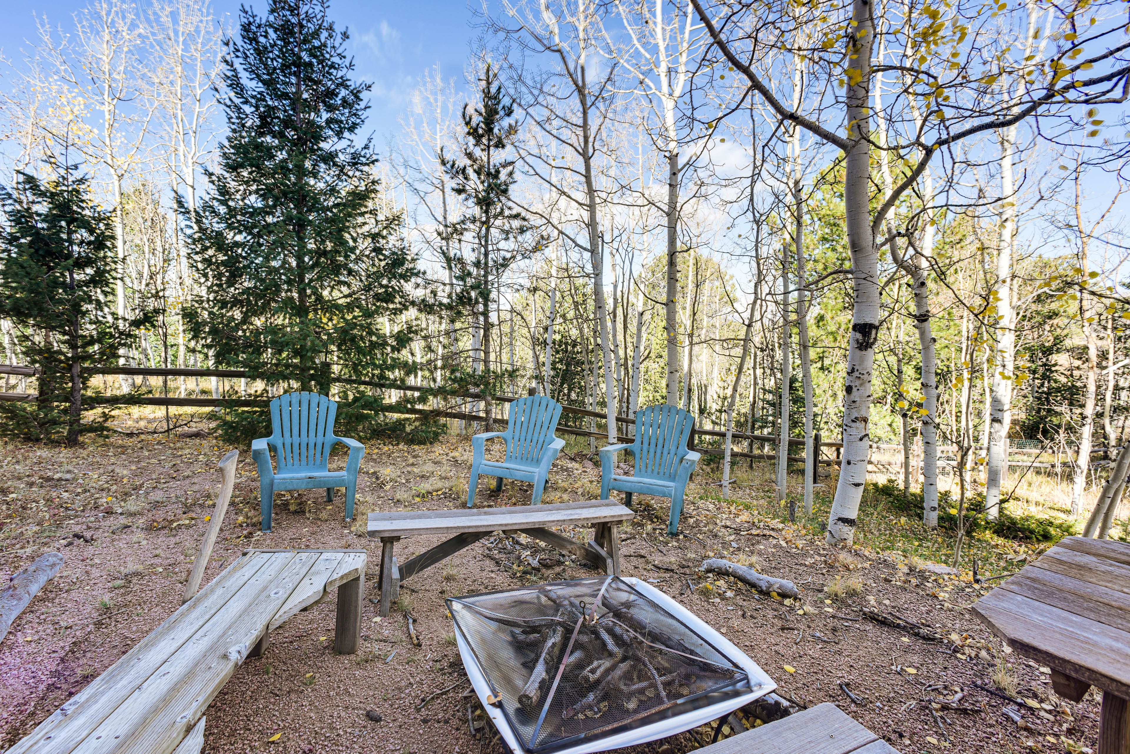 Fenced-In Yard | Fire Pit | Gas Grill