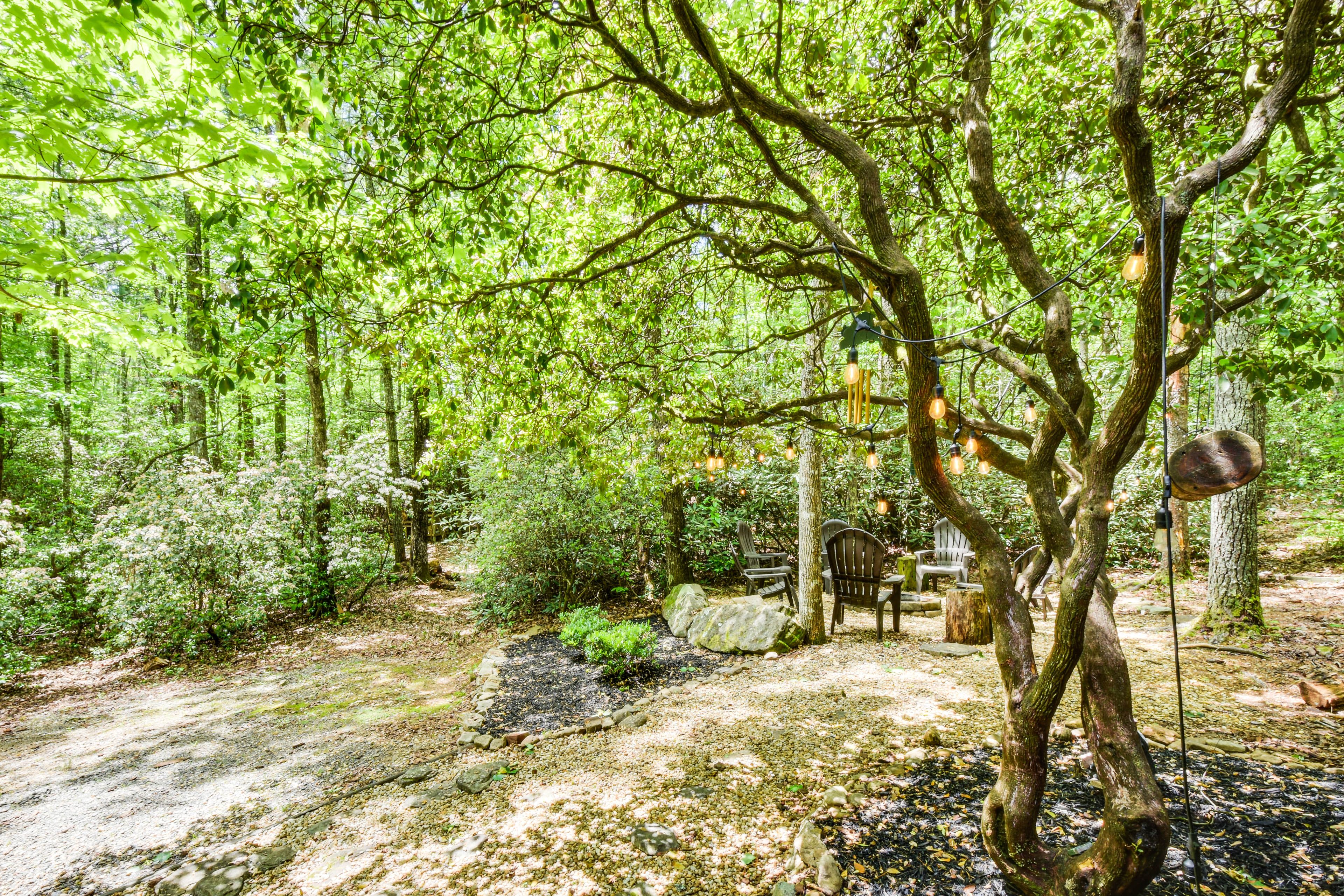 Private Backyard Area