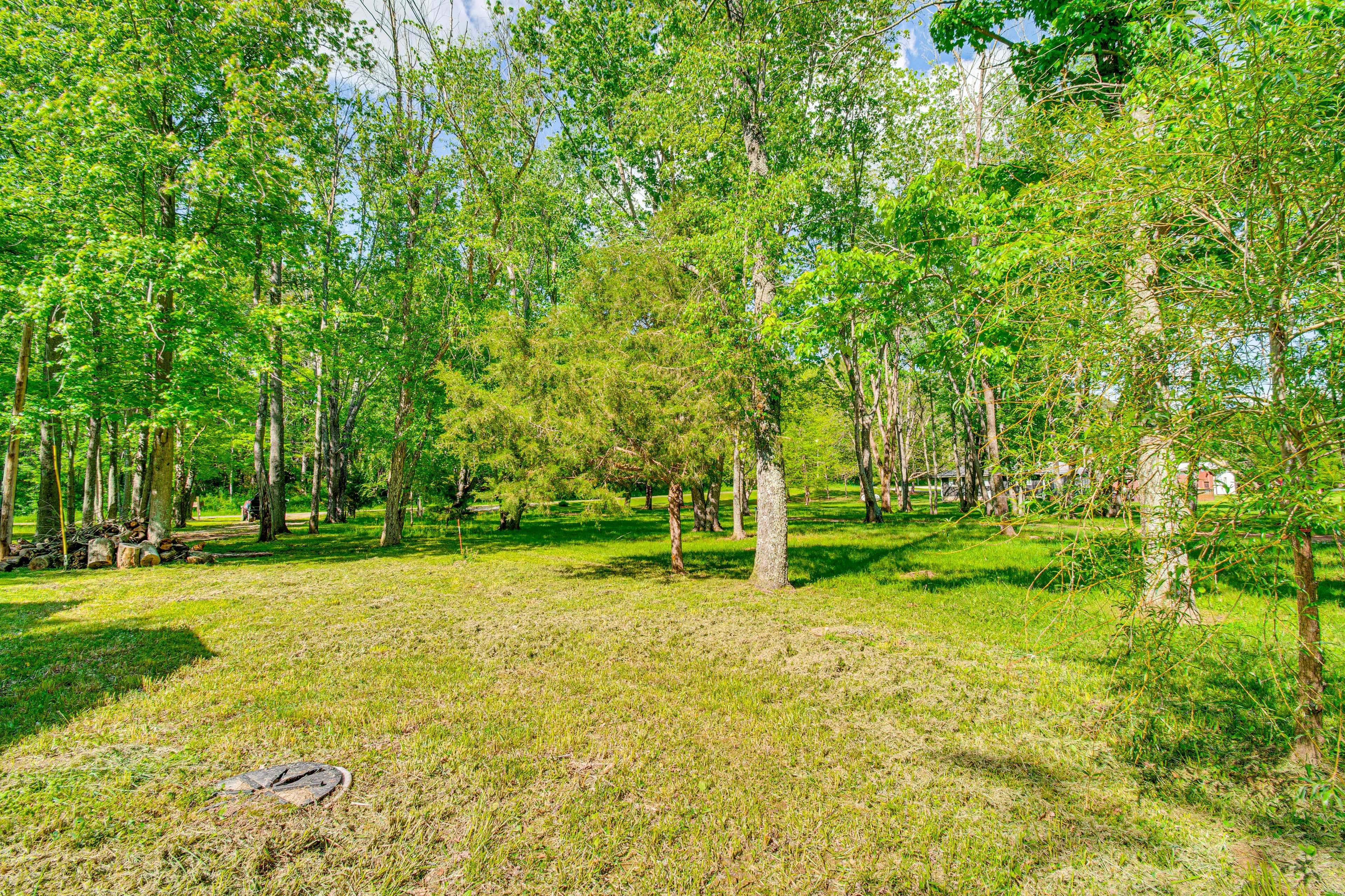 Private Yard (Unfenced)
