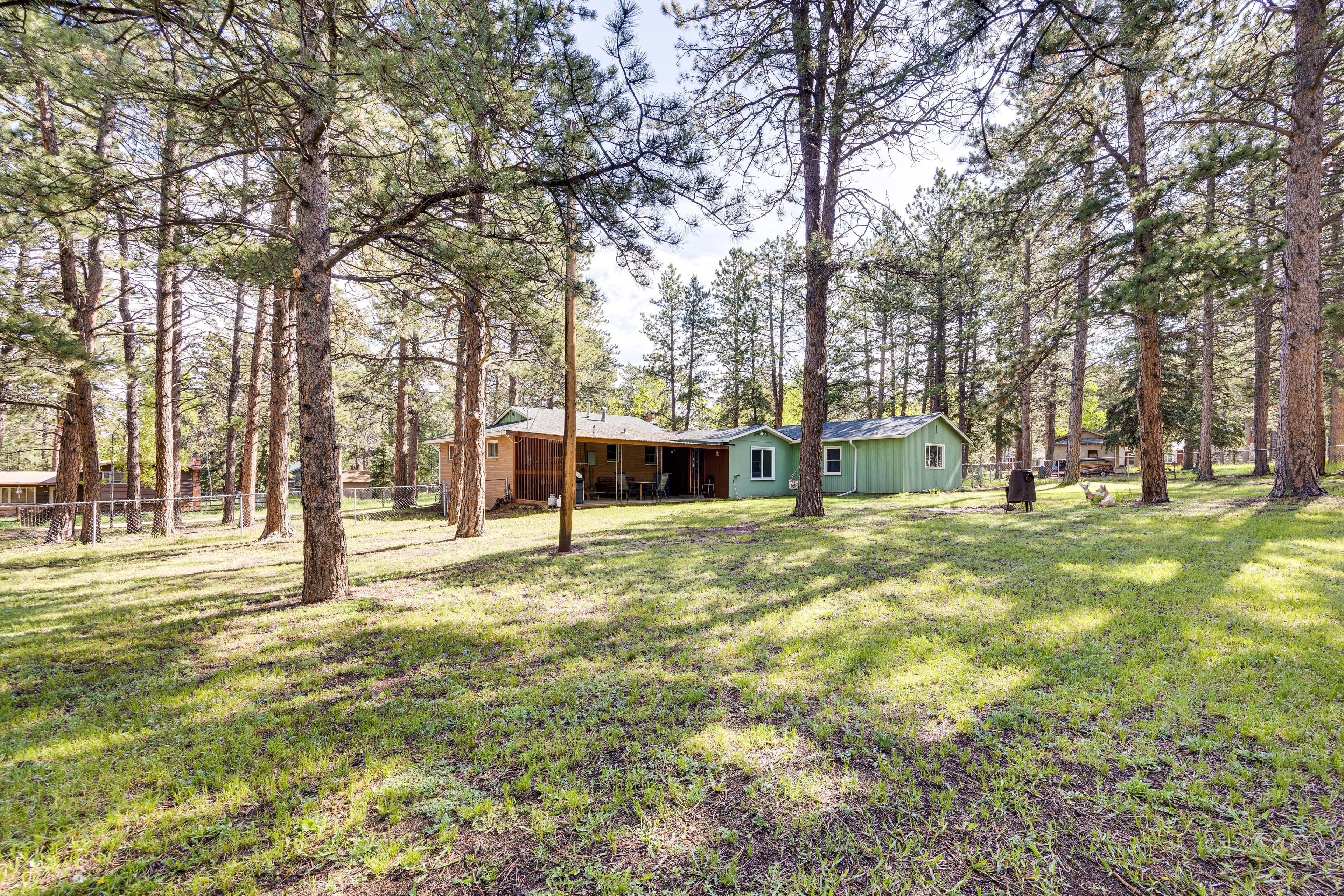 Spacious Yard