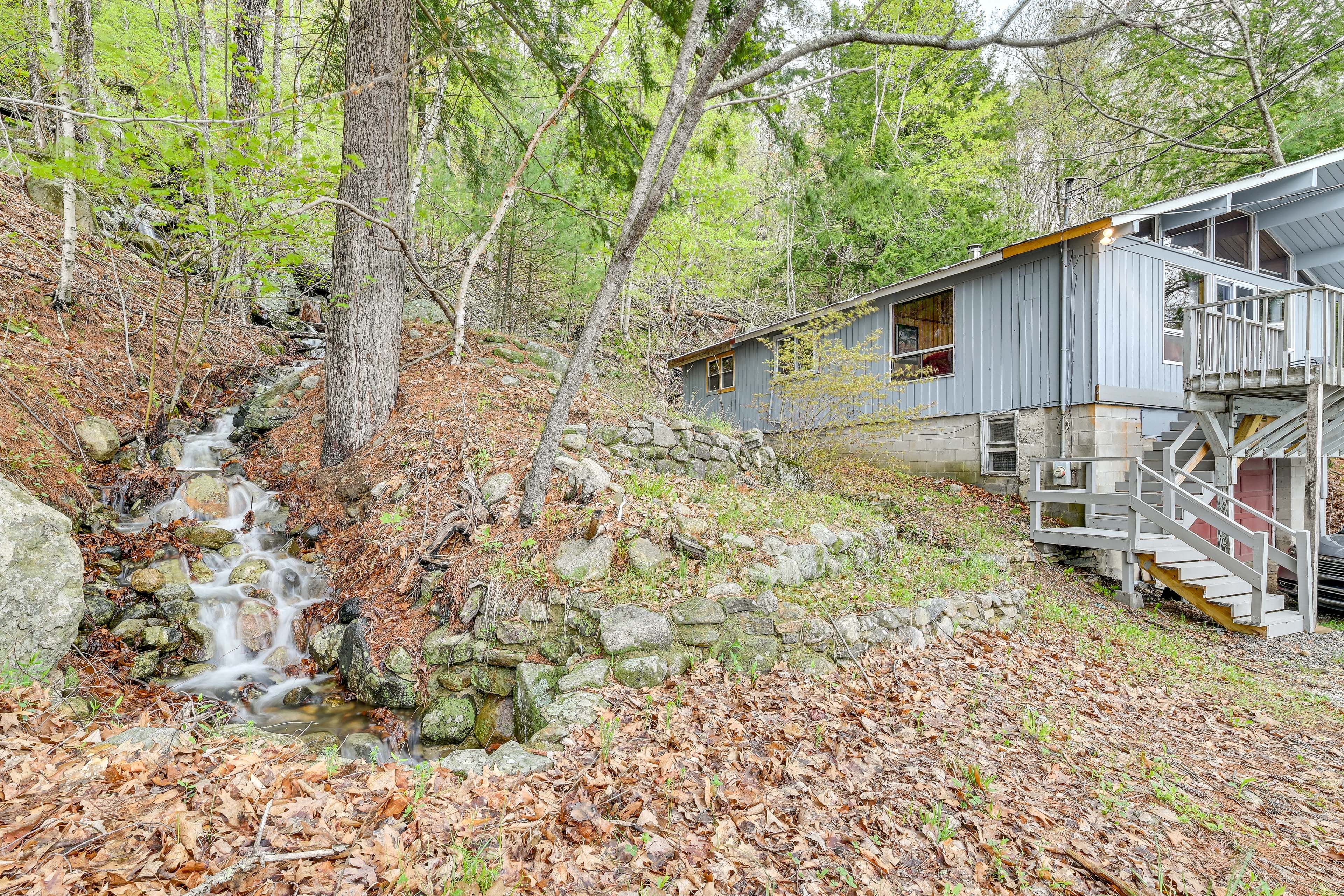 Cabin Exterior | Private Backyard