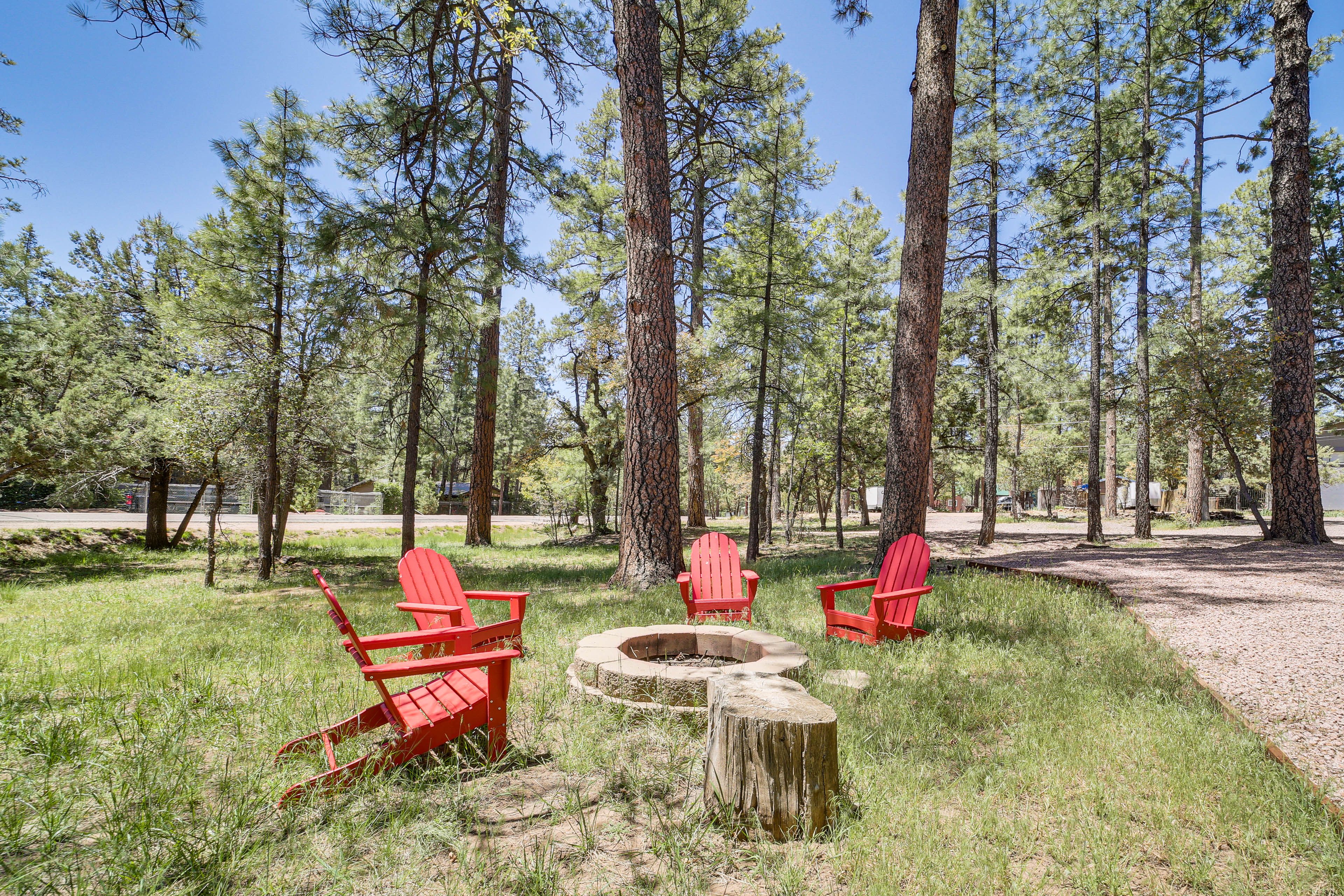 Backyard | 1-Acre Property | Fire Pit