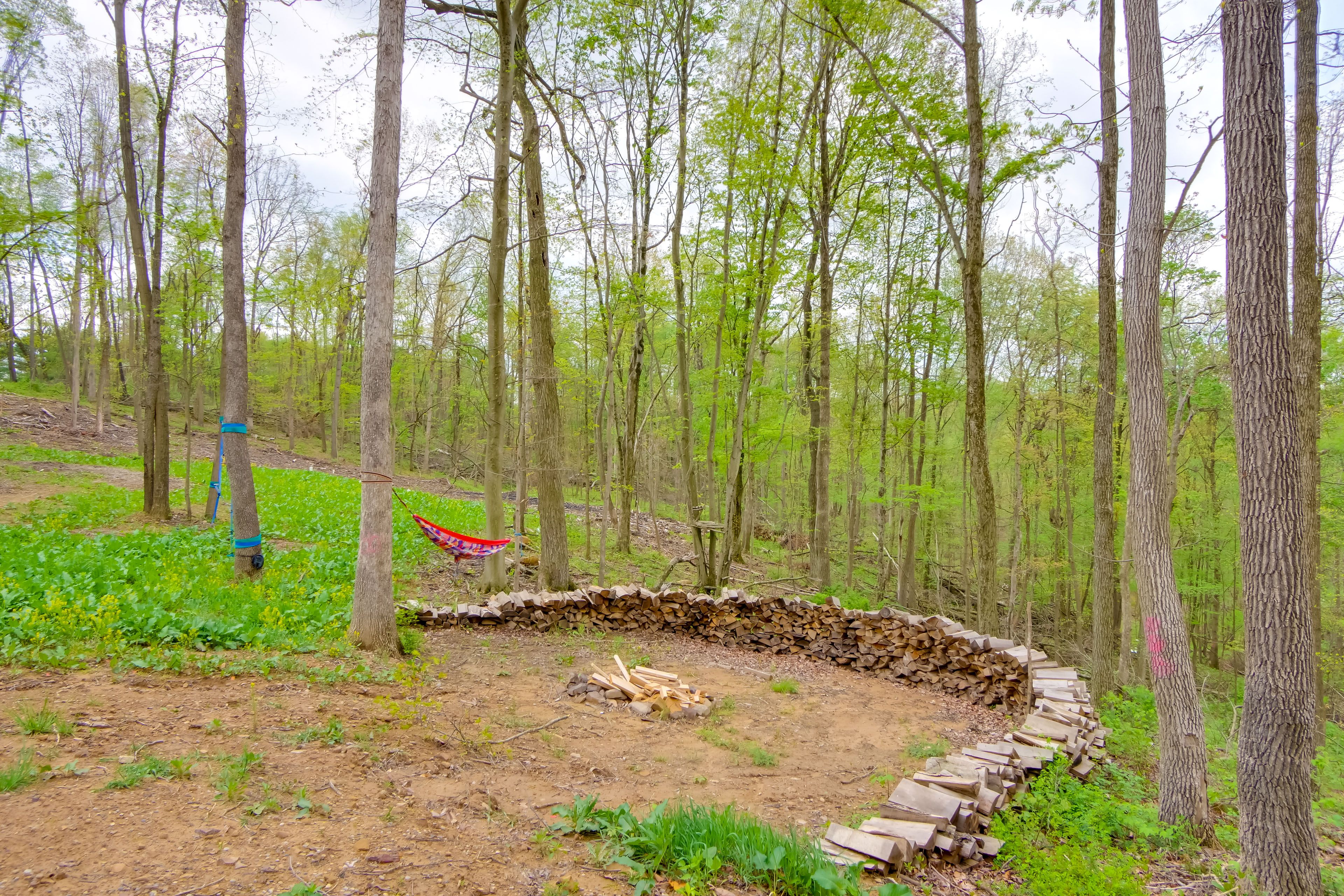 Shared Outdoor Amenities | 5 Kayaks | Life Vests