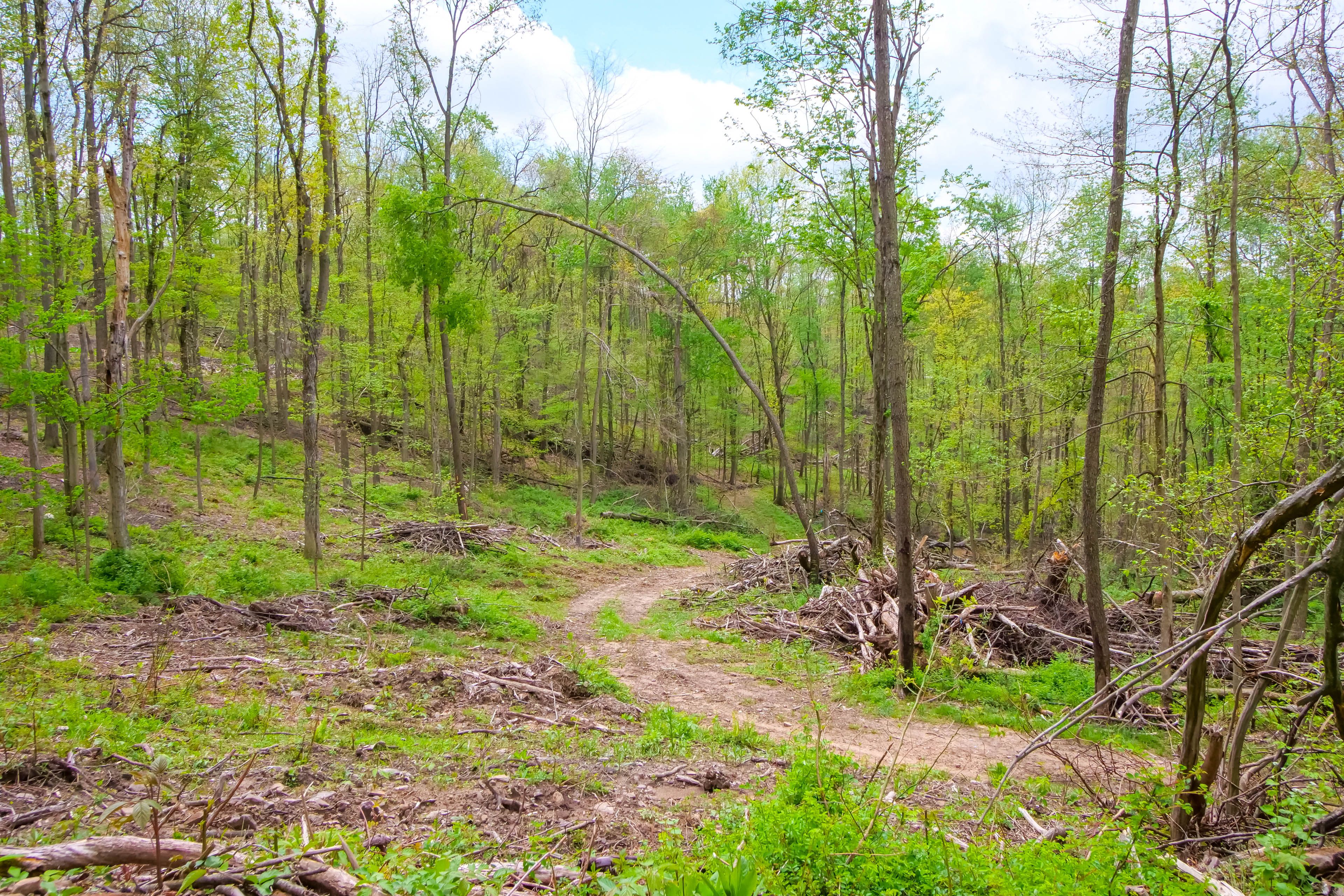 On-Site Trail Access
