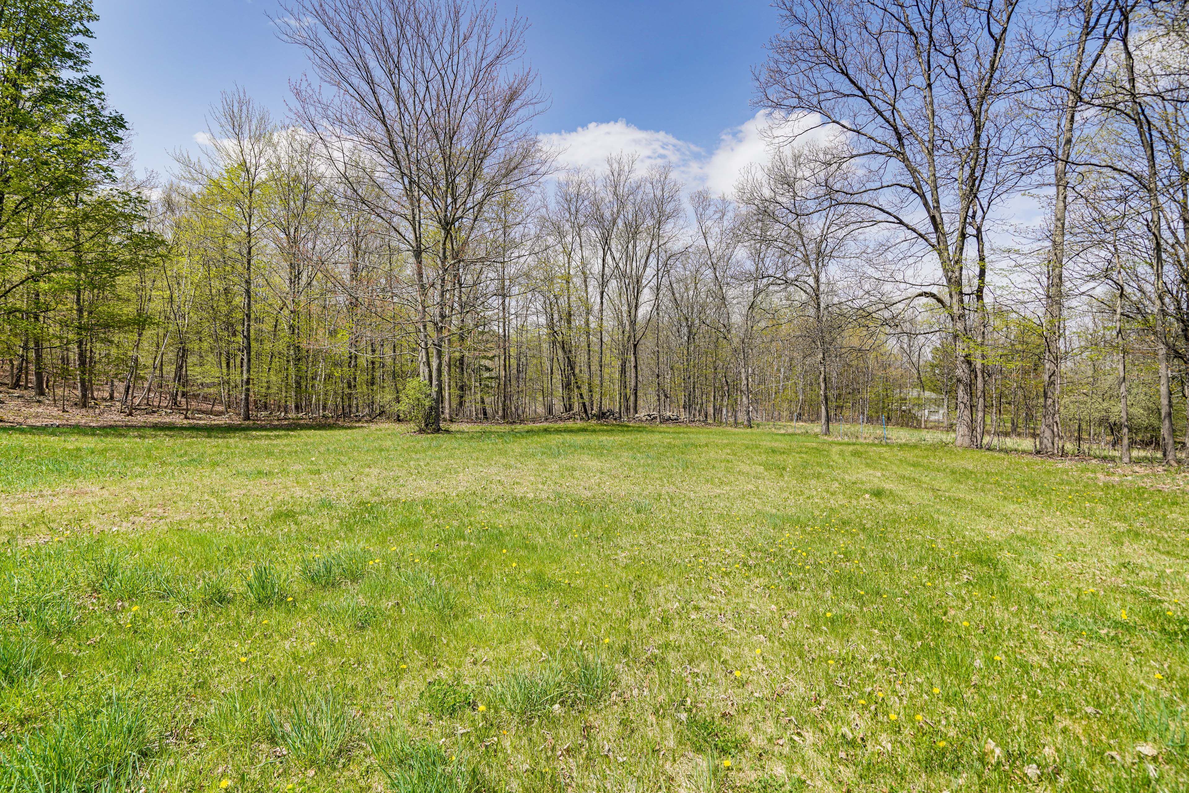 Property Surroundings