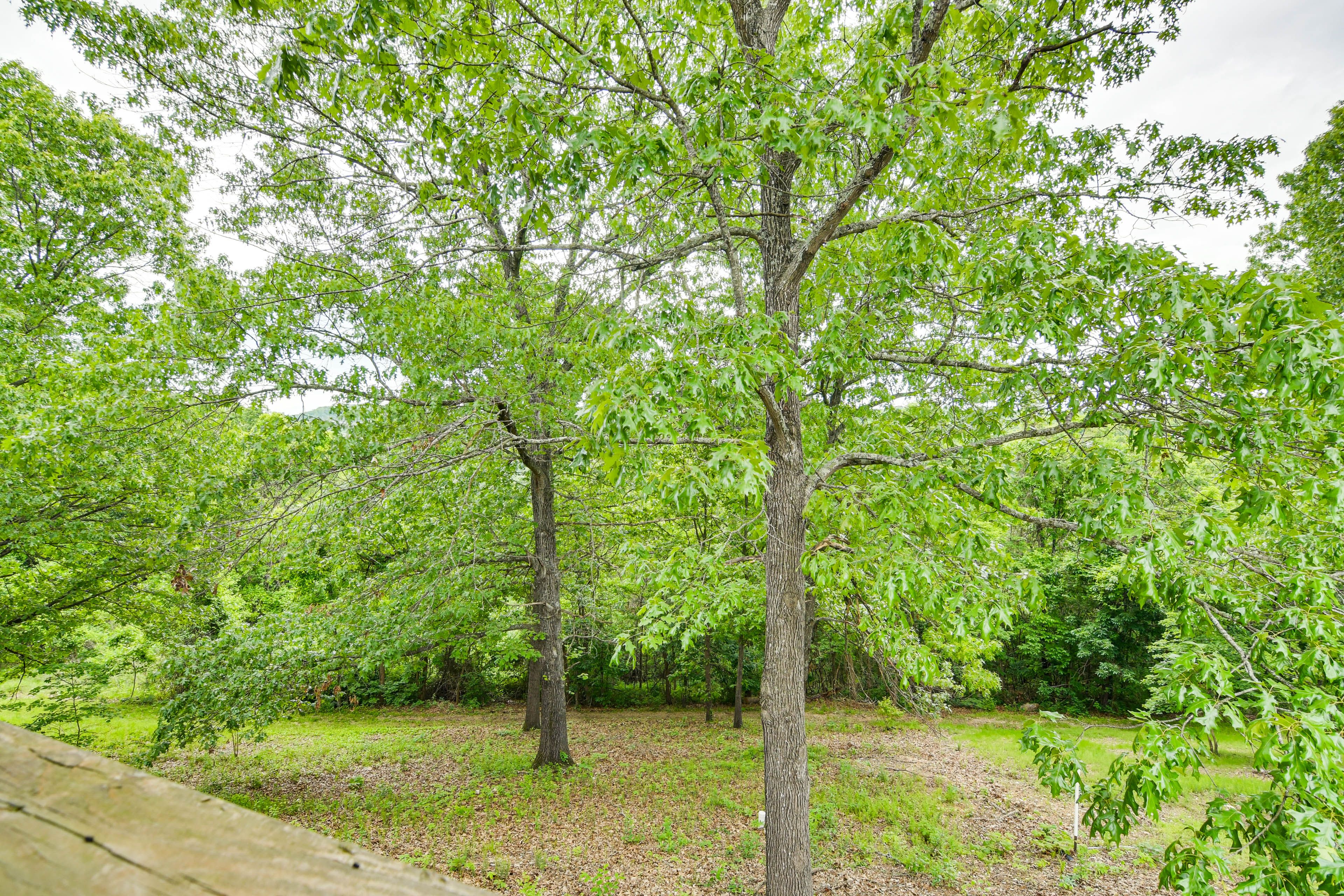 Surrounding Area