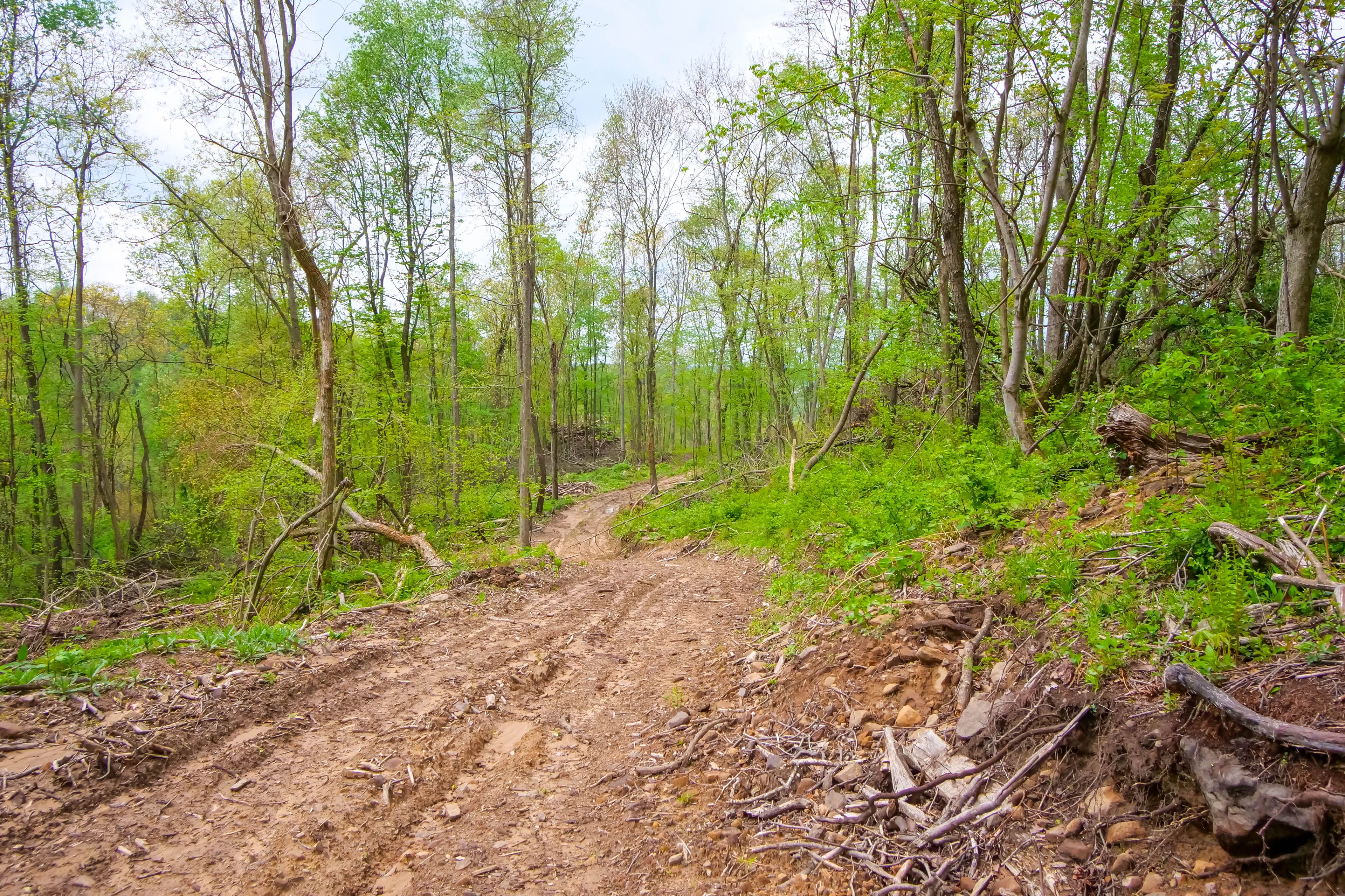 On-Site Trails