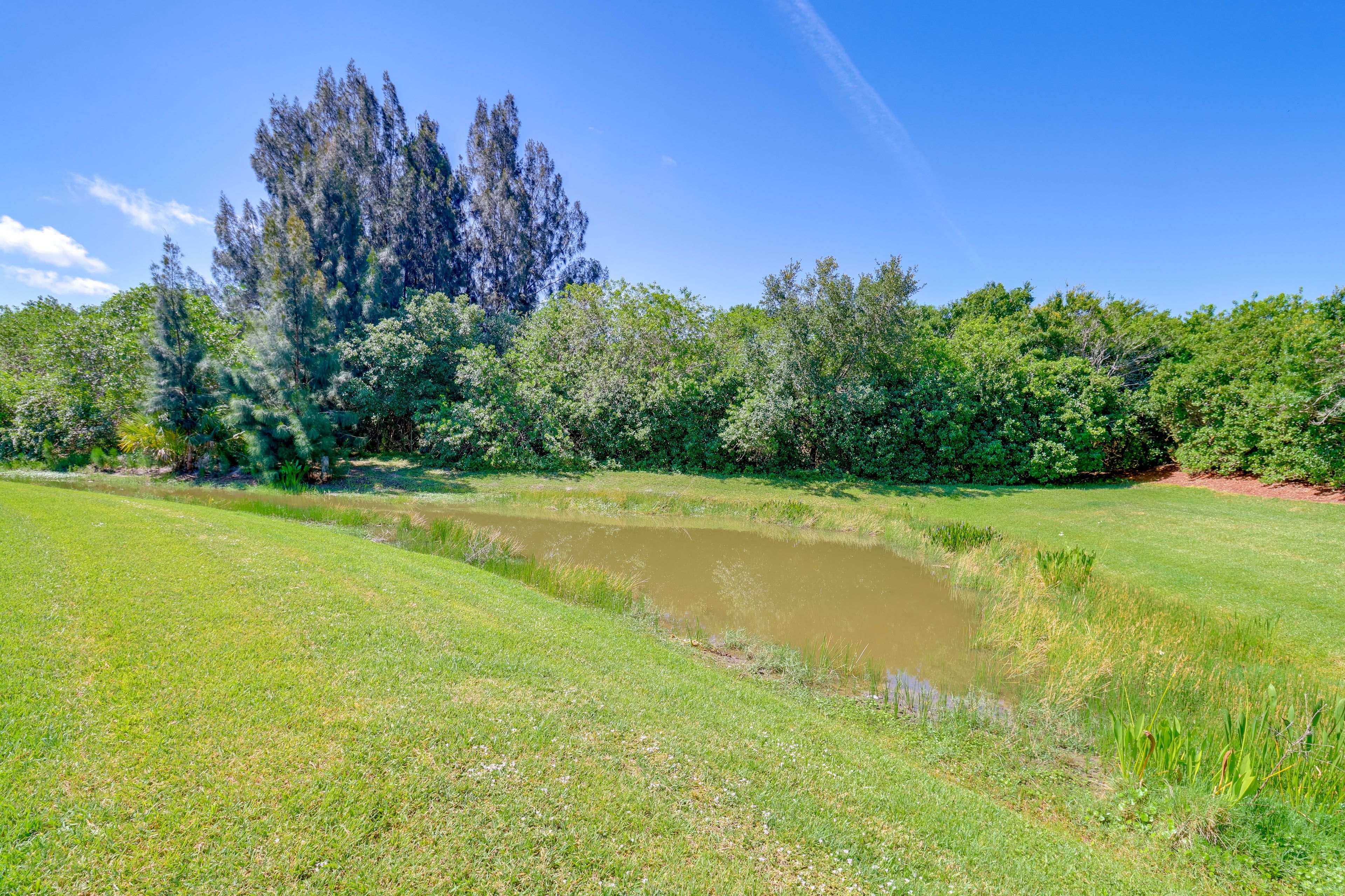 Stream On-Site
