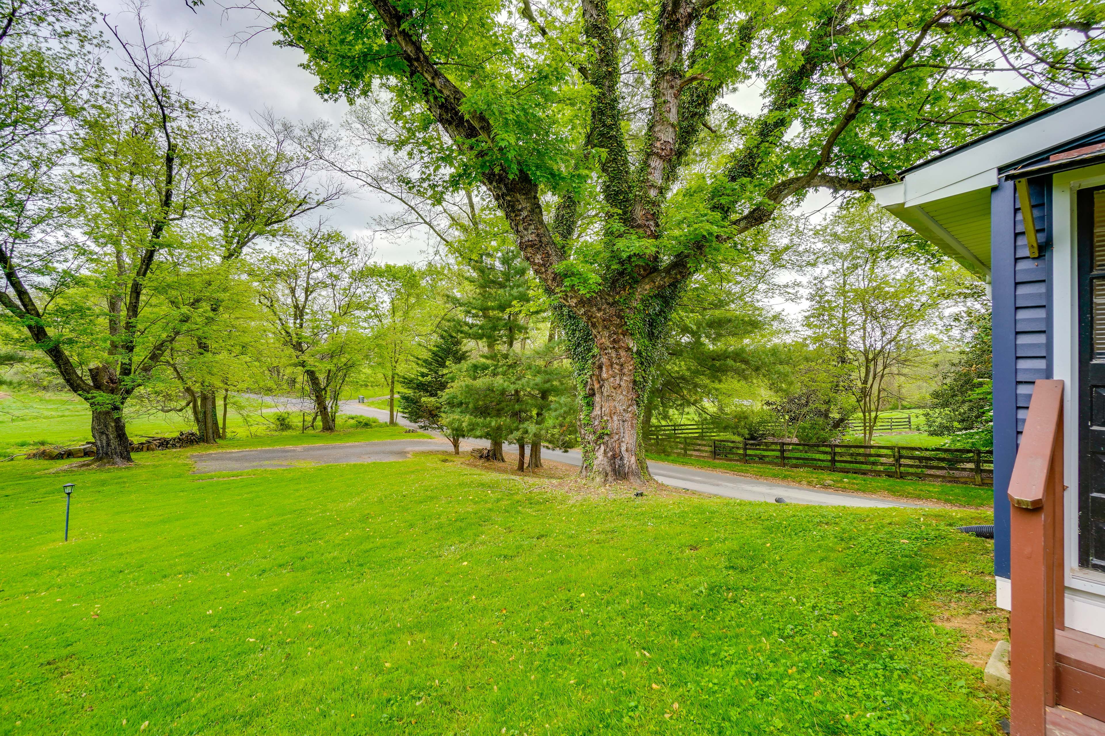 Large Shared Yard