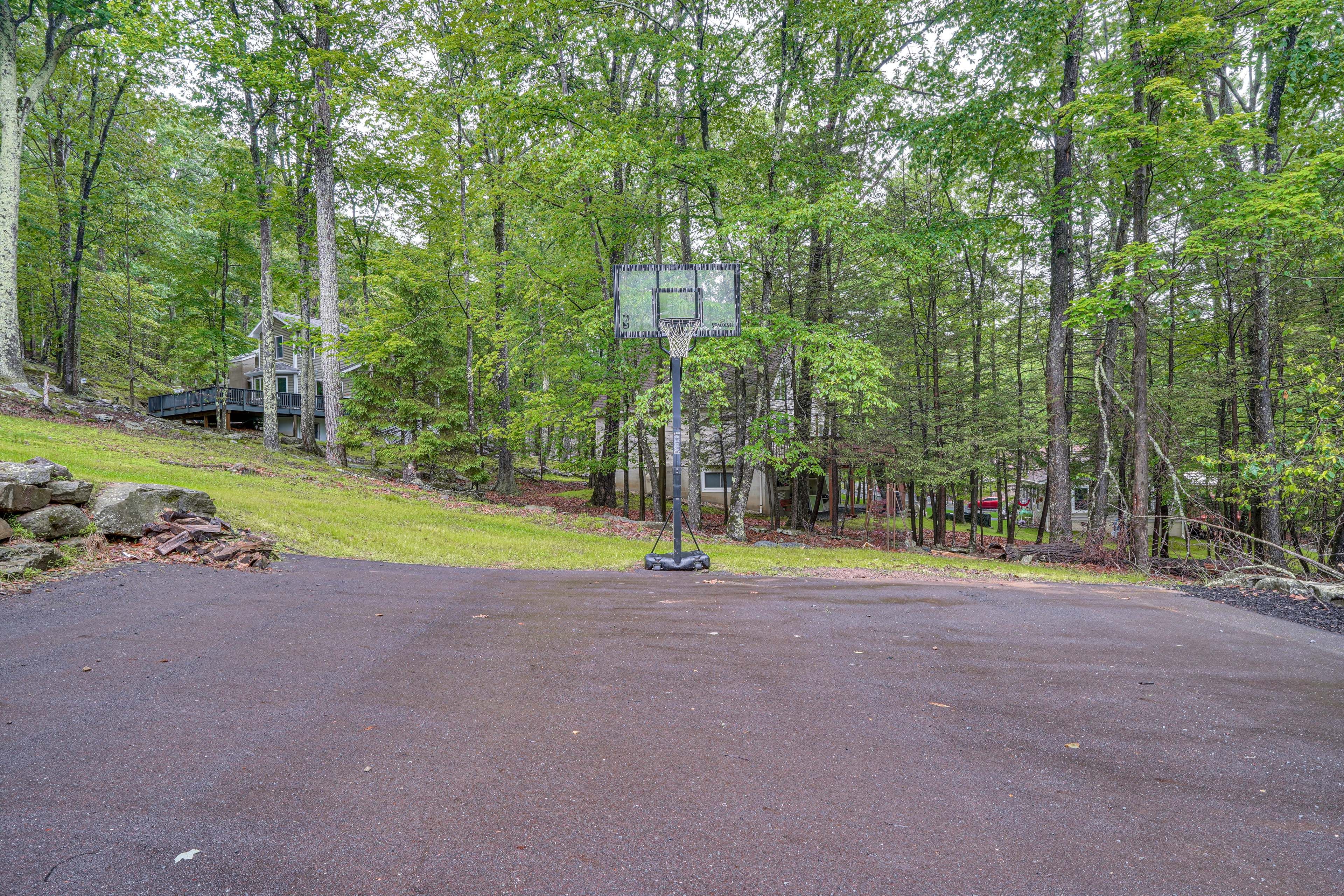 Basketball Hoop