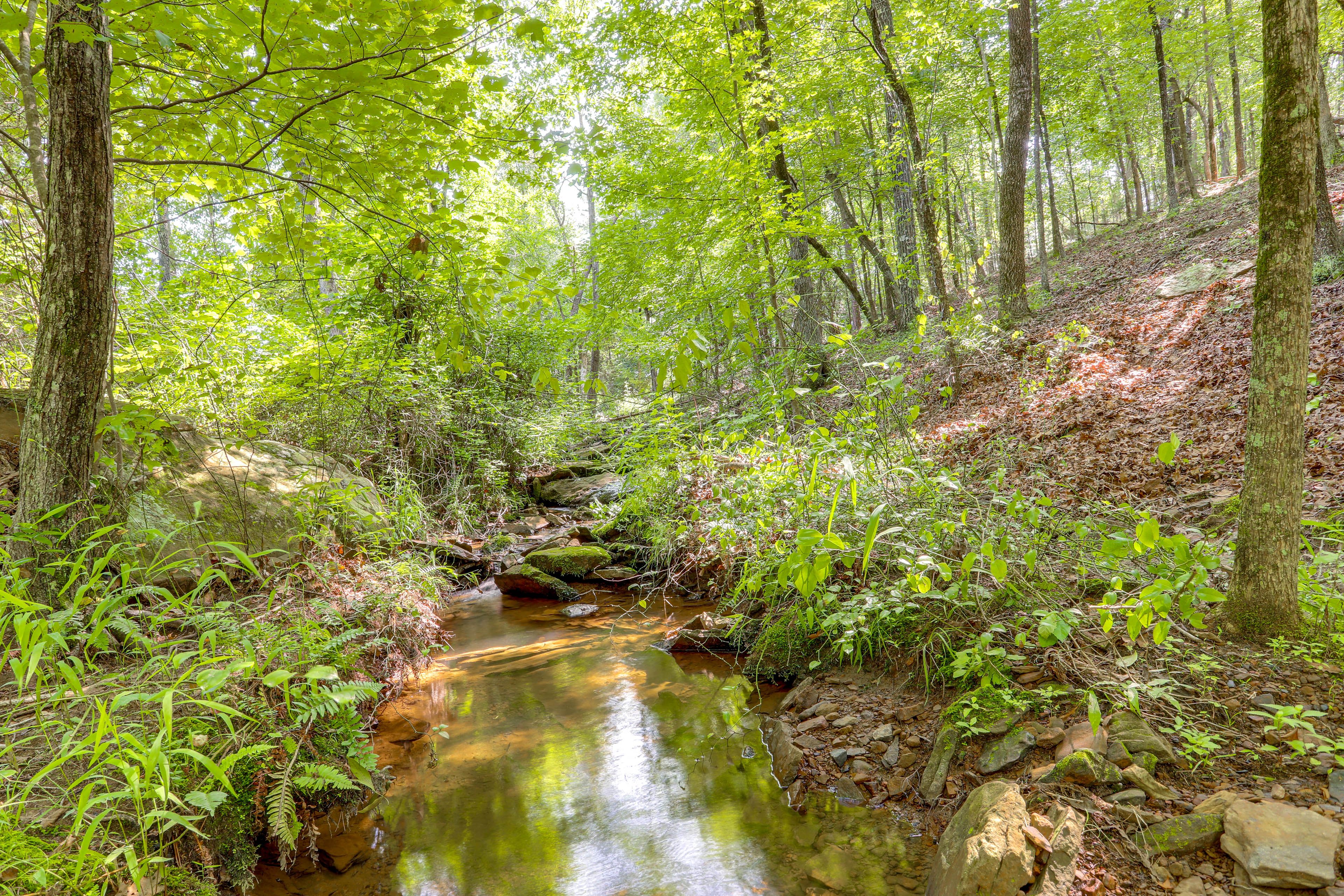 Trails & Creek On-Site