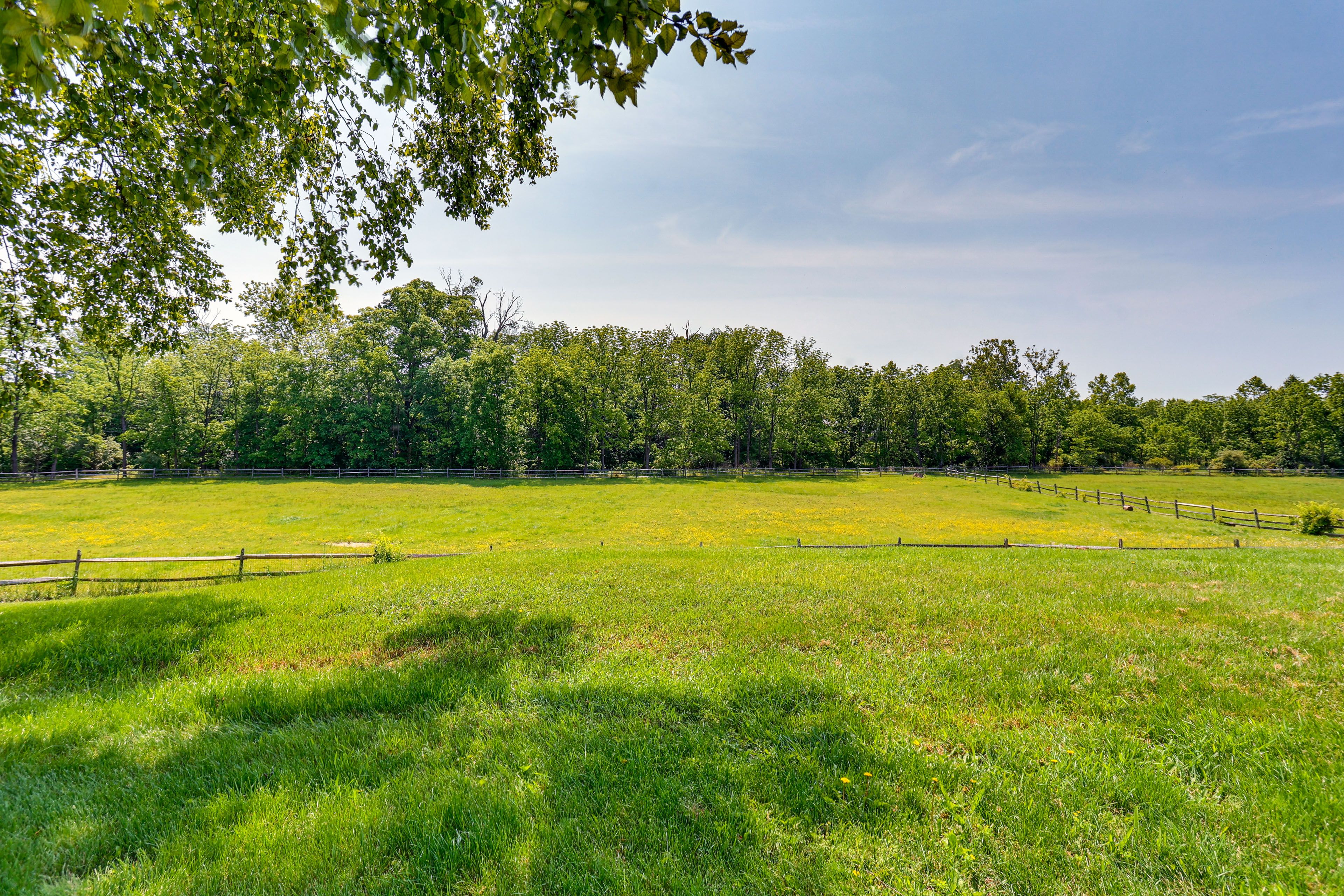 Fields & Horse Stables On-Site