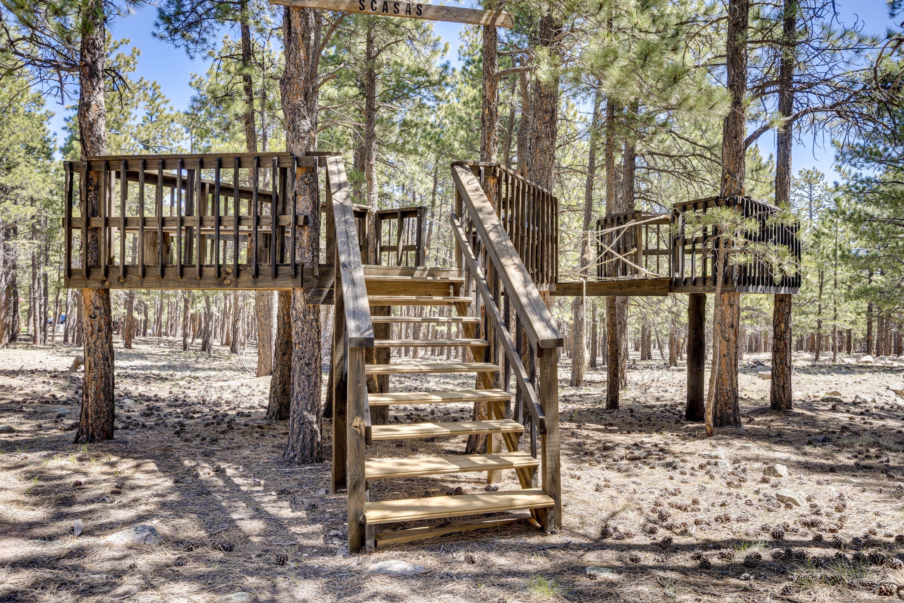 Tree House