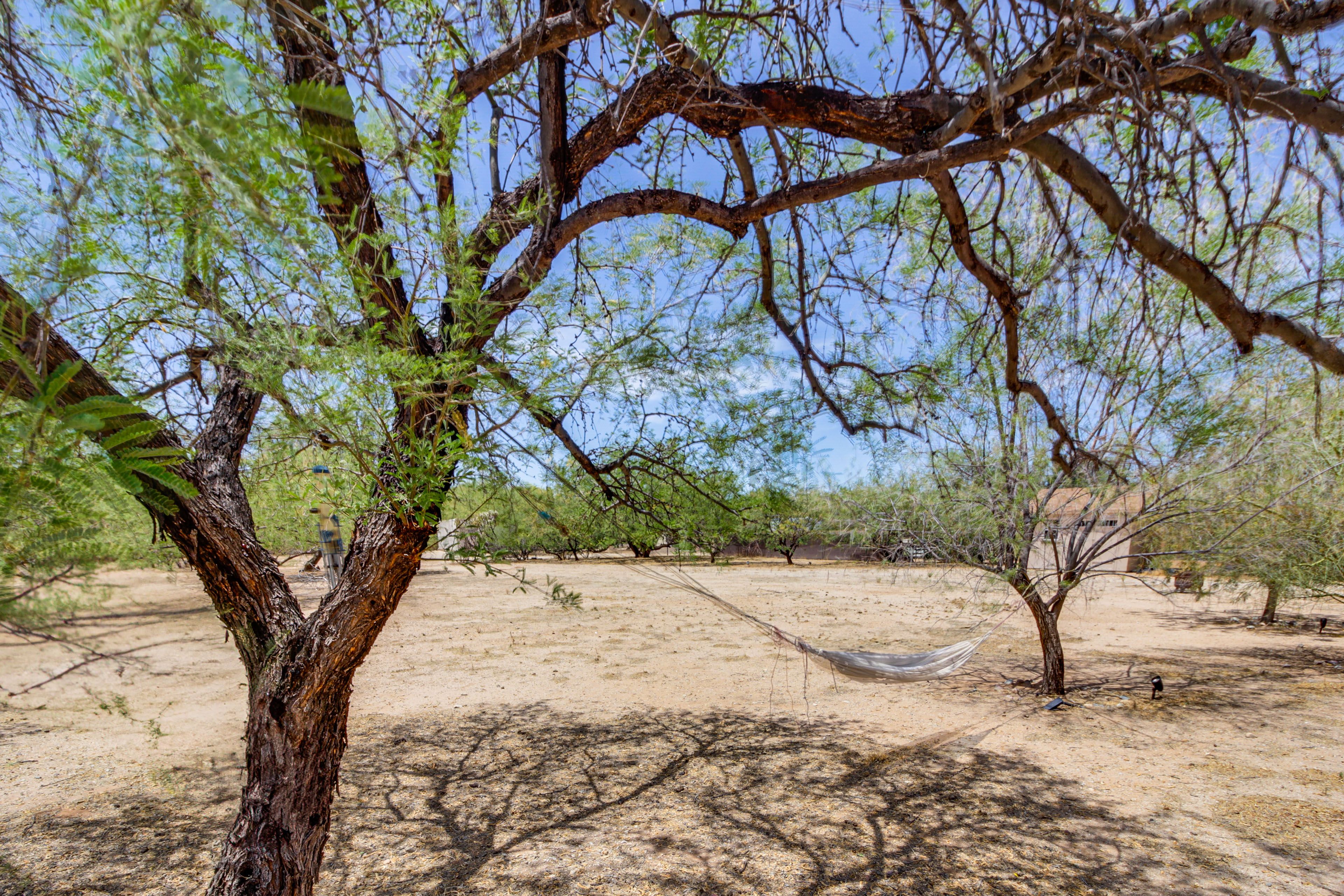 Hammock