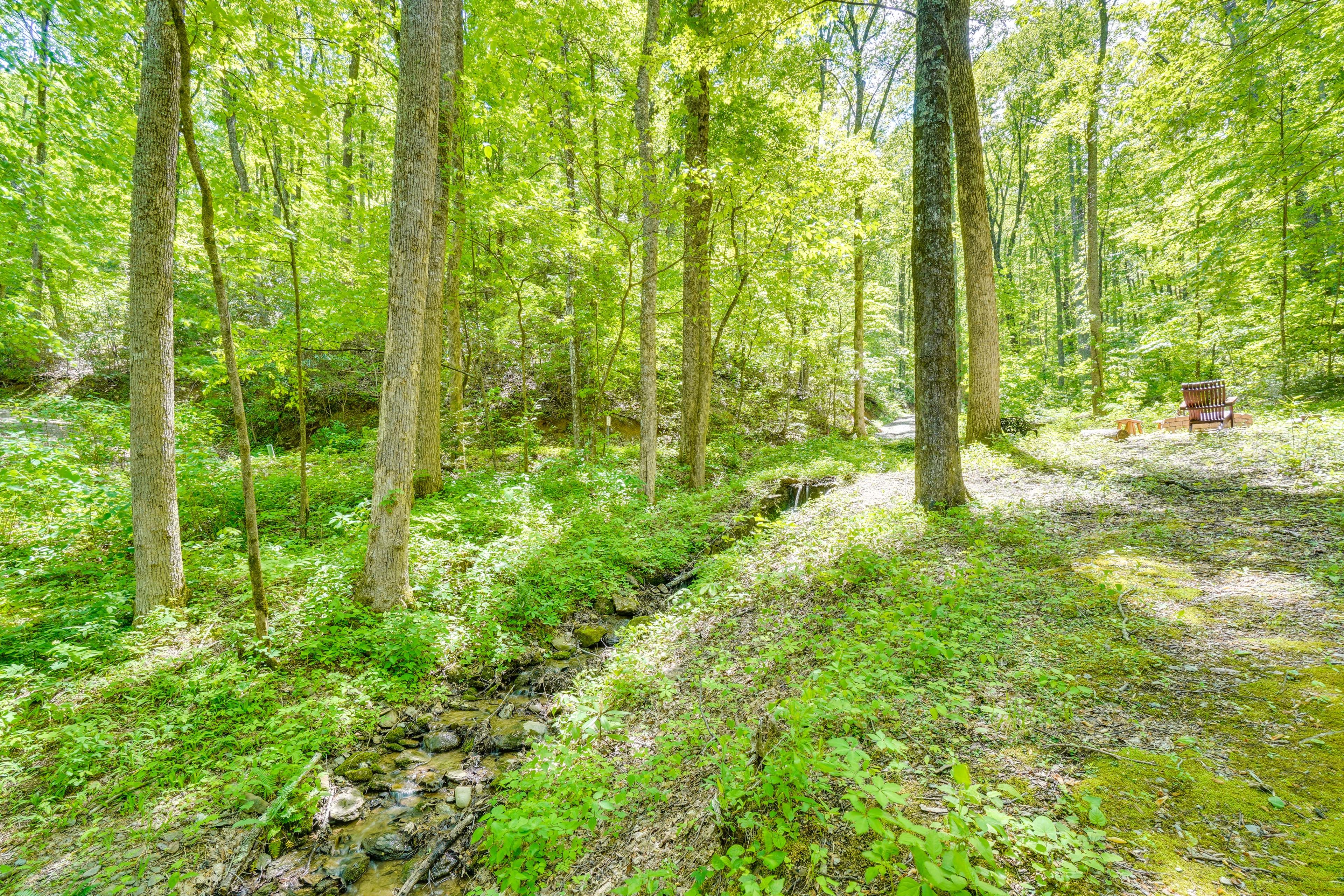 Stream