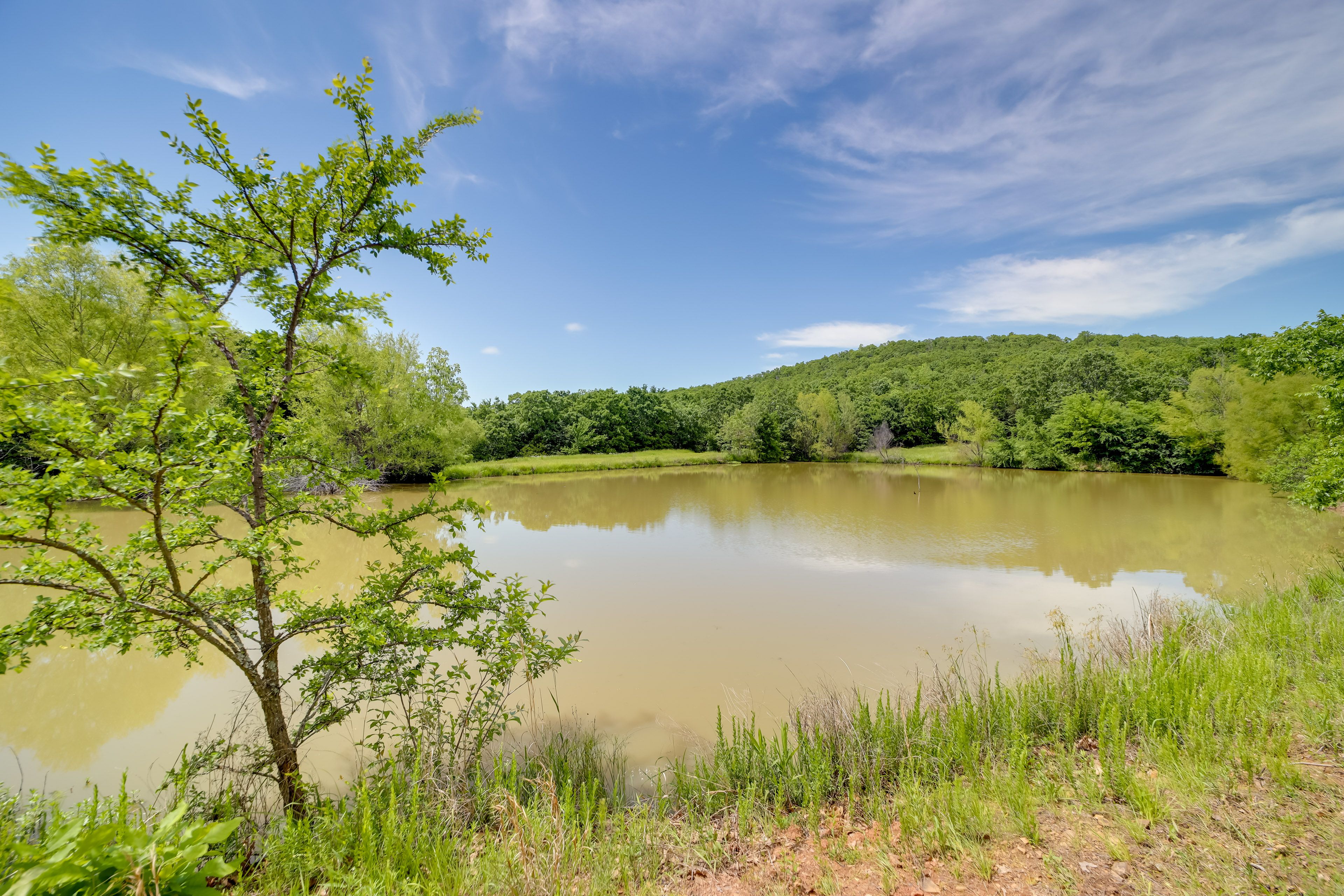 Community Pond | Catch & Release Fishing