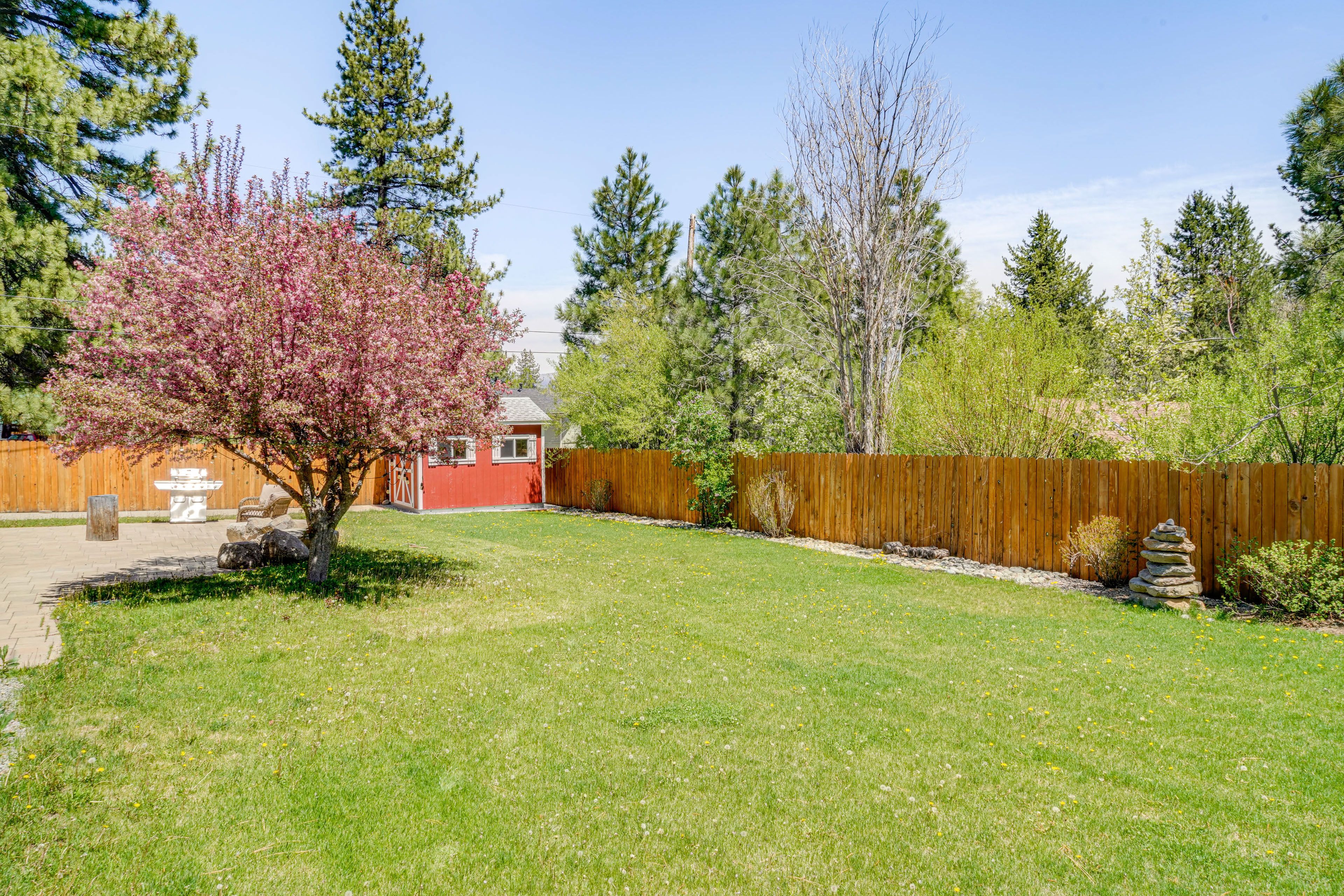 Fenced Backyard