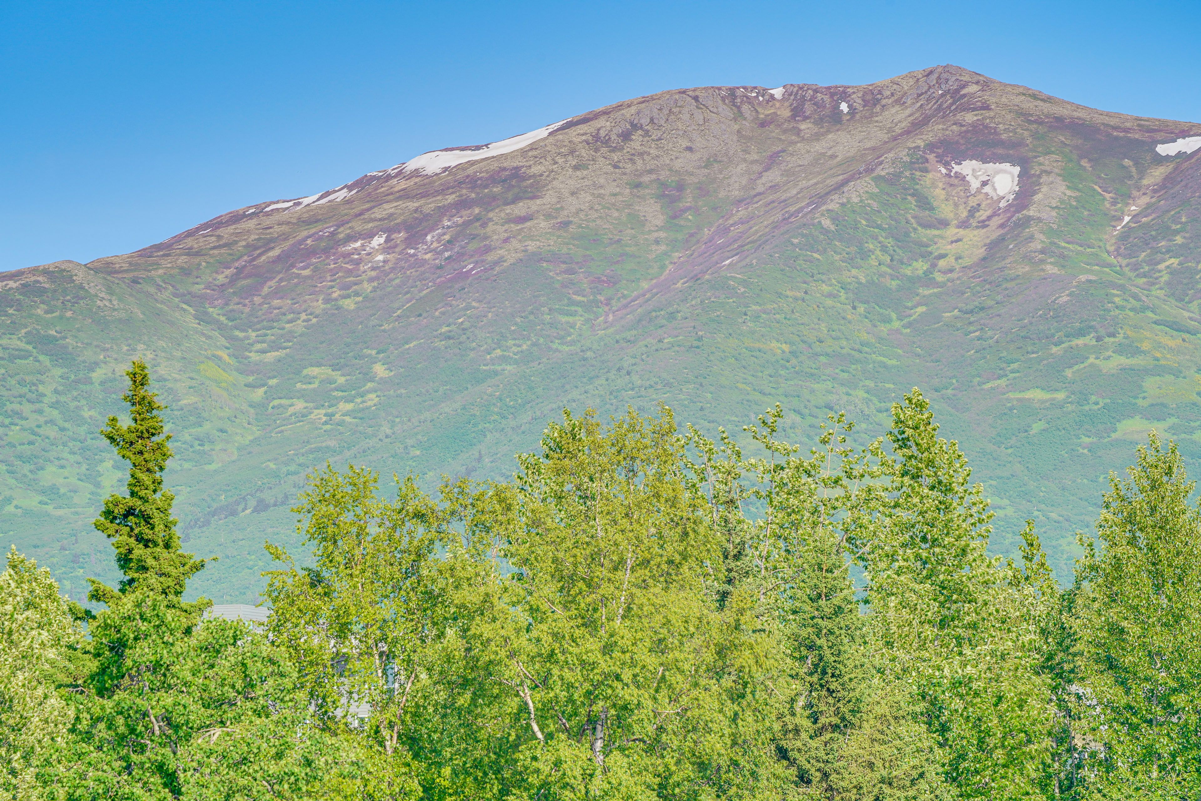 Mountain Views