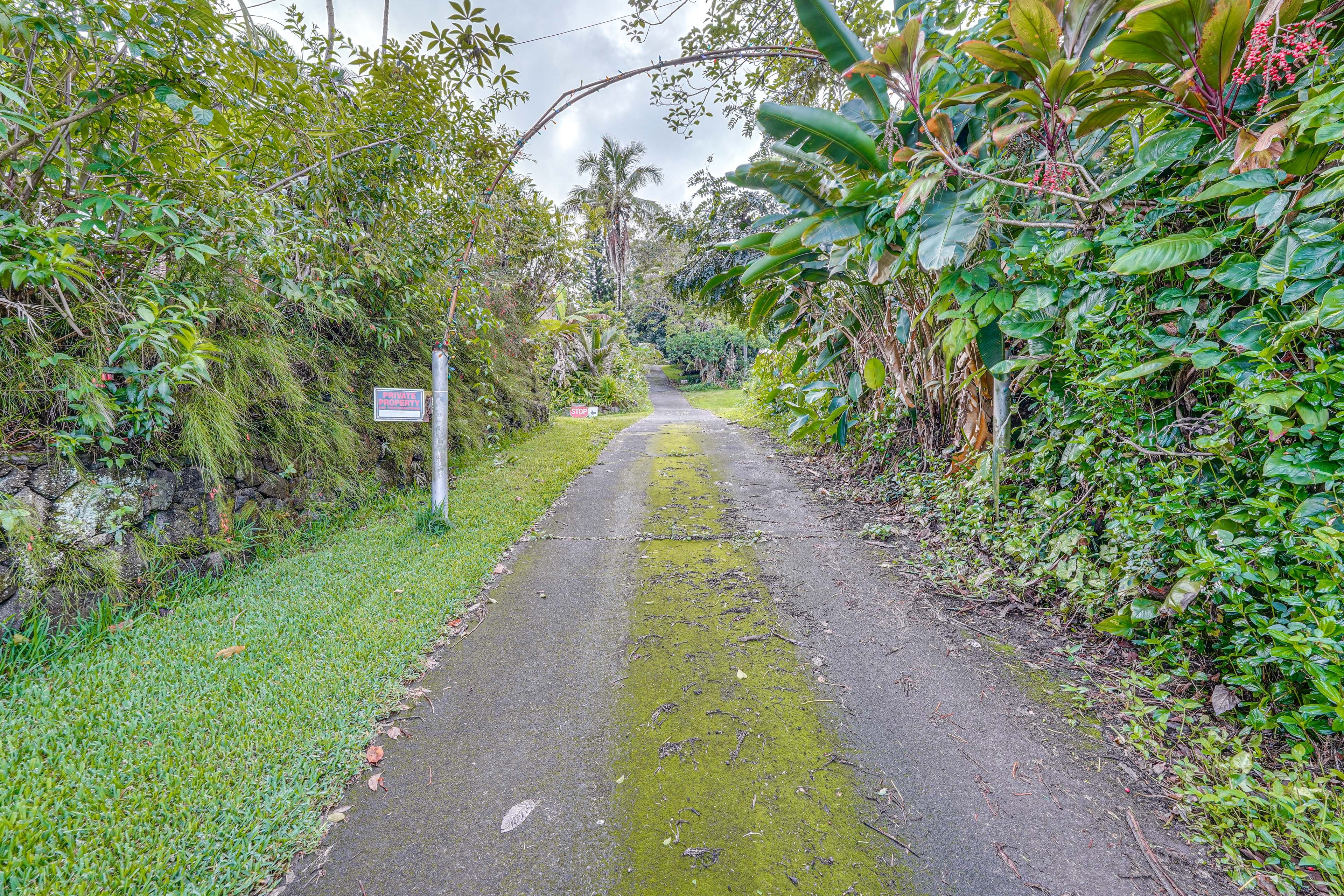Image 25