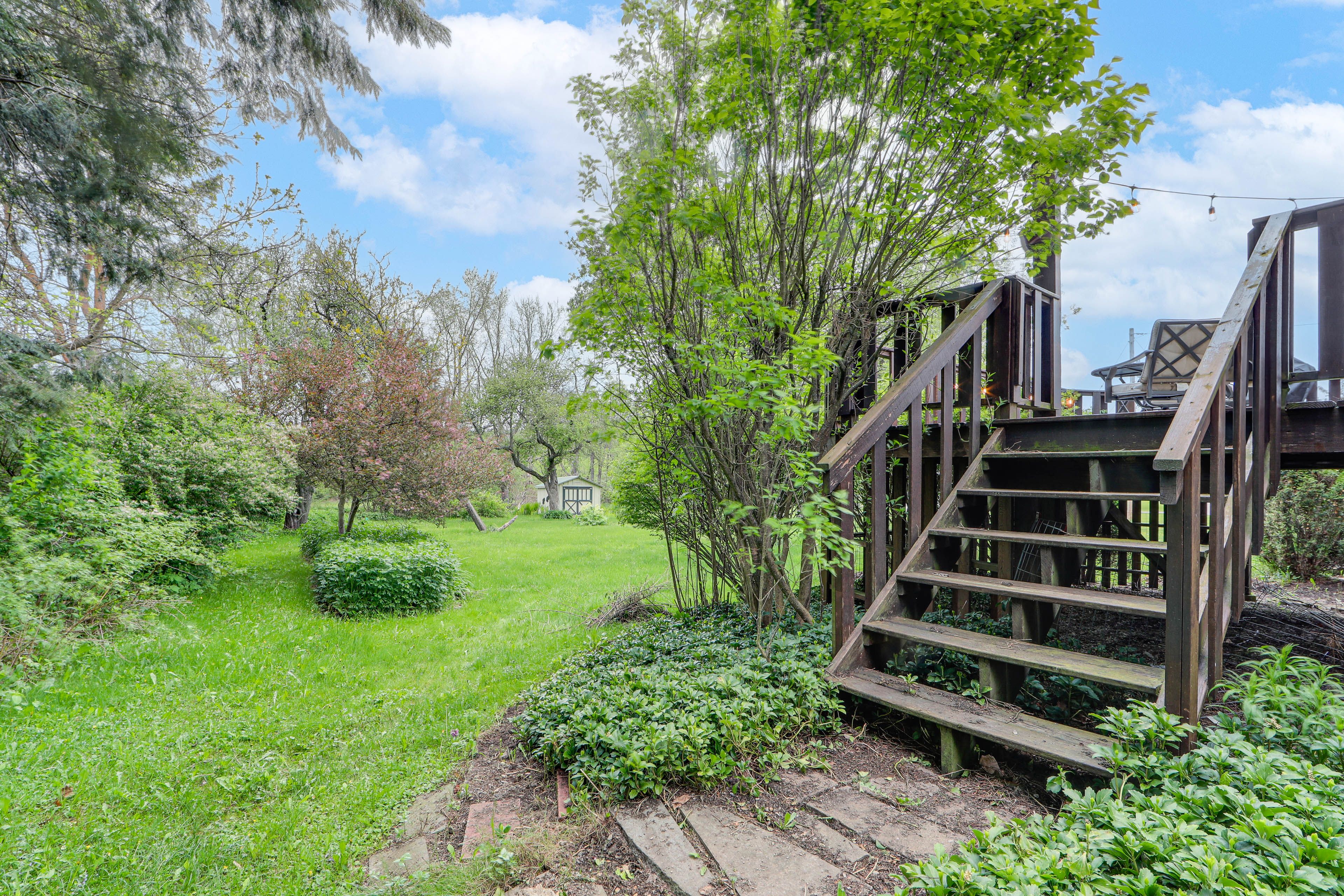 Large Open Yard