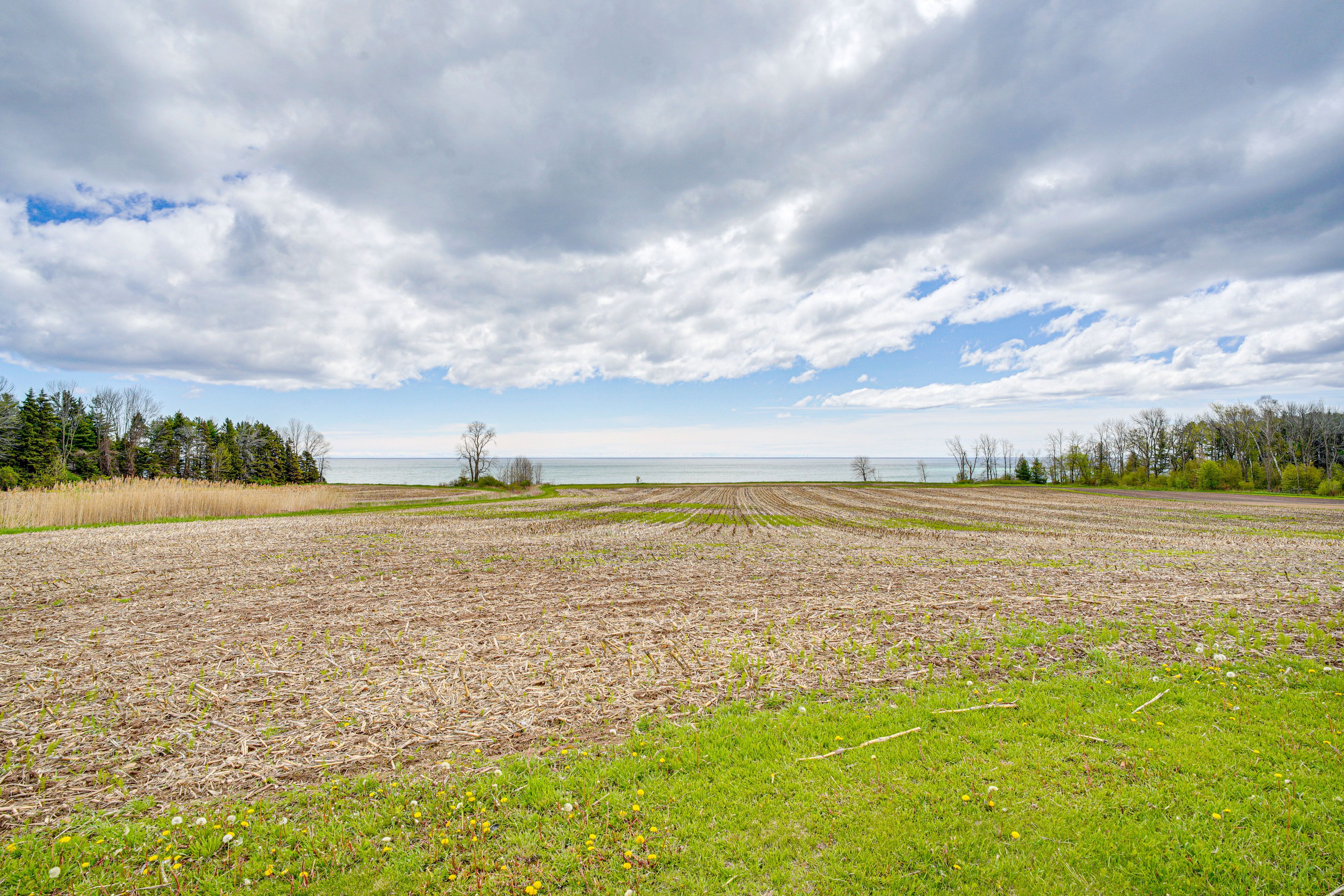 15-Acre Property | Lake Michigan On-Site