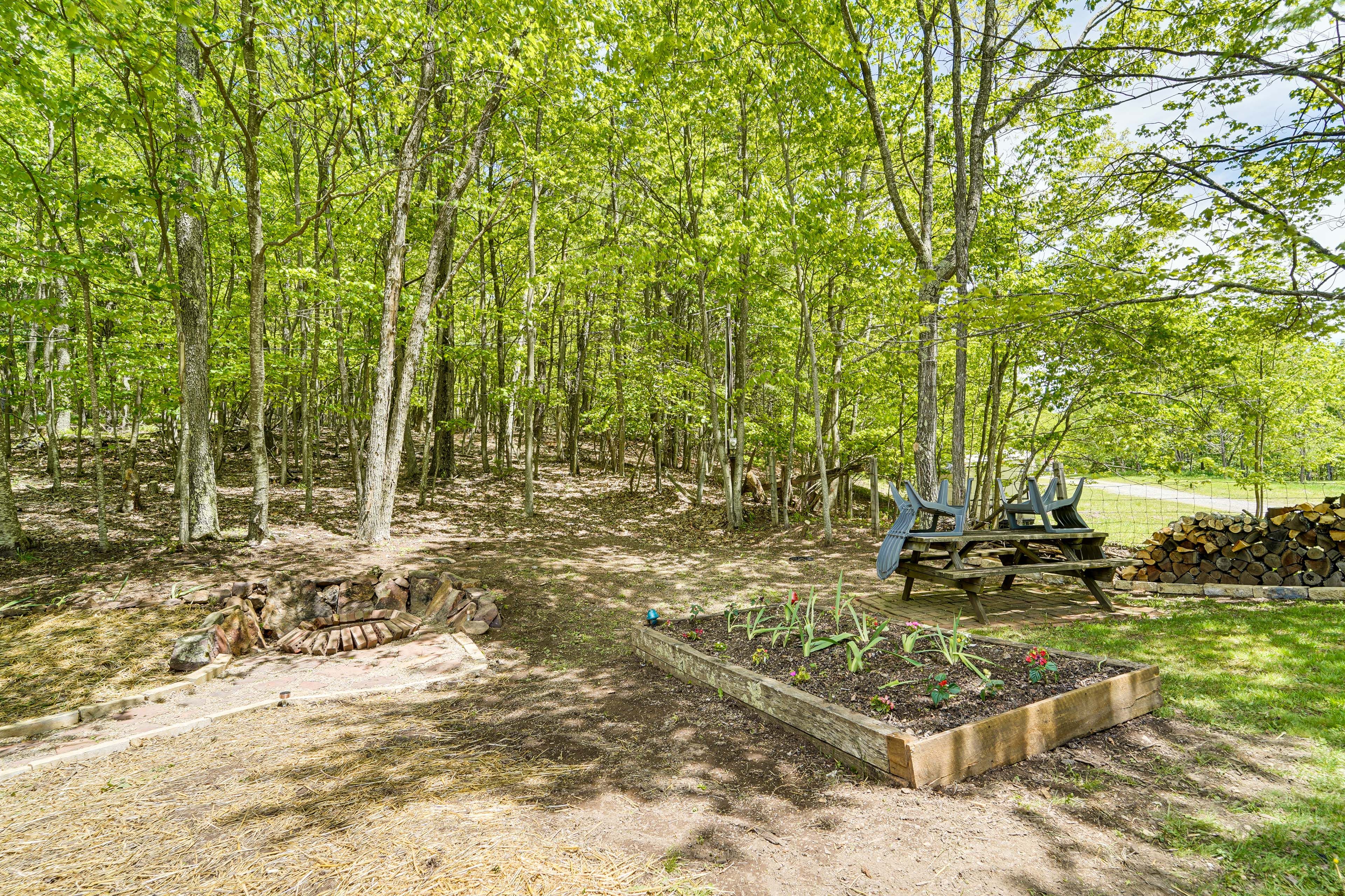 Image 19