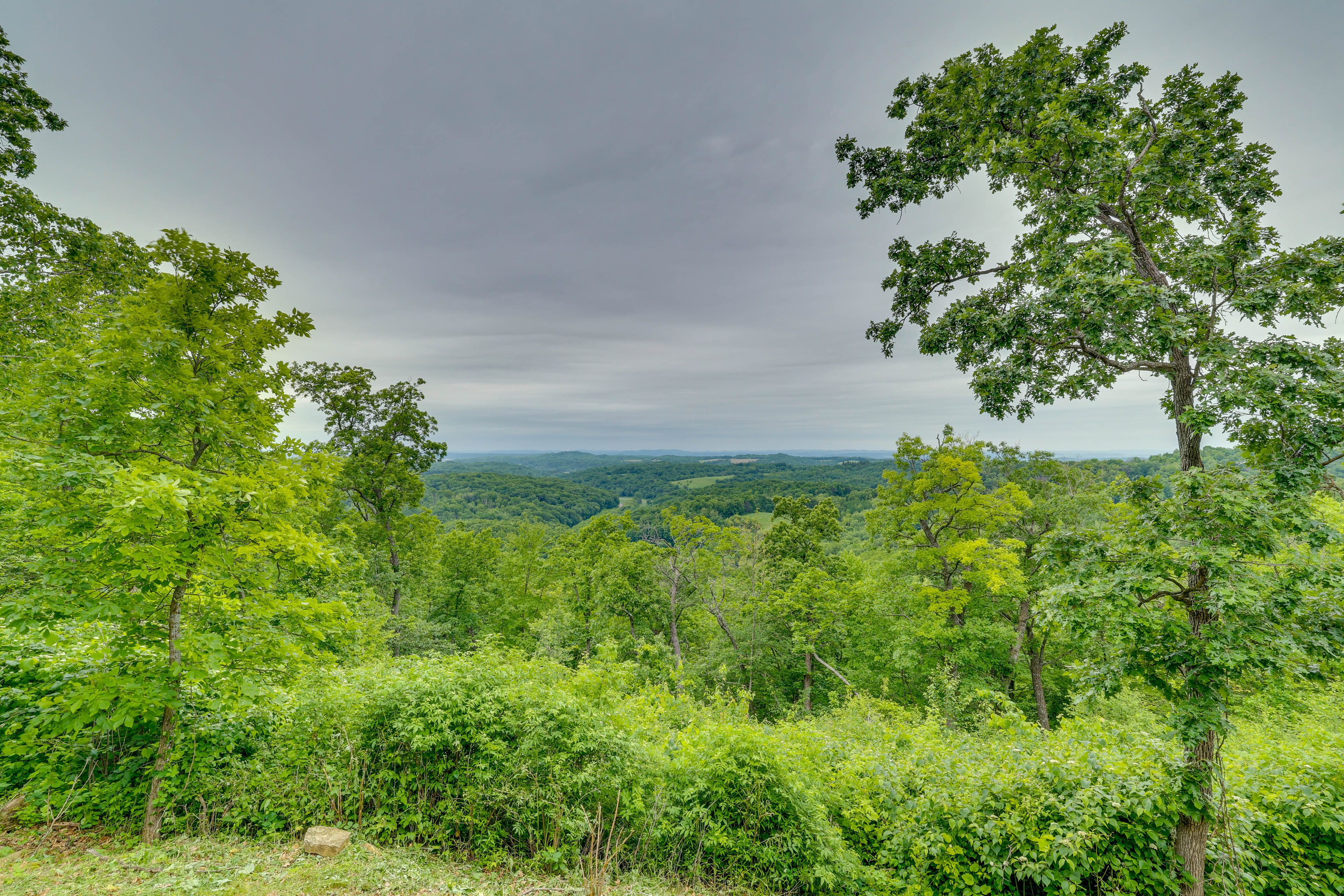 View From Deck