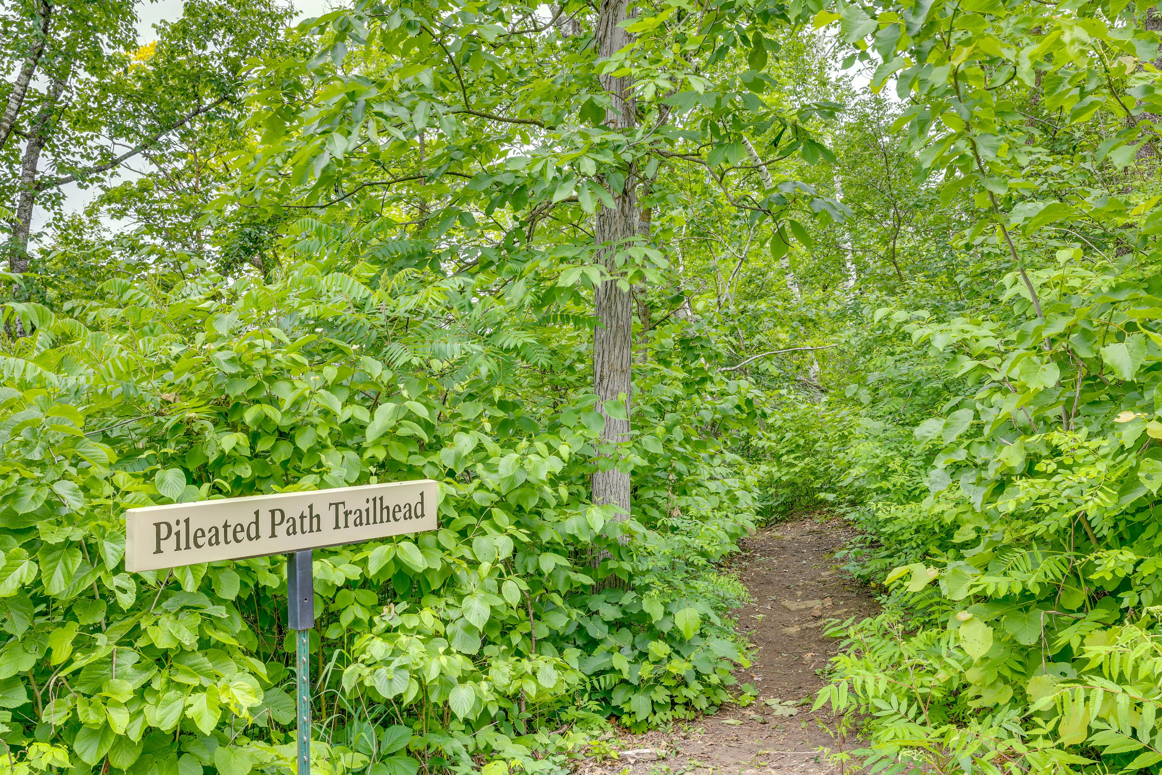 On-Site Hiking