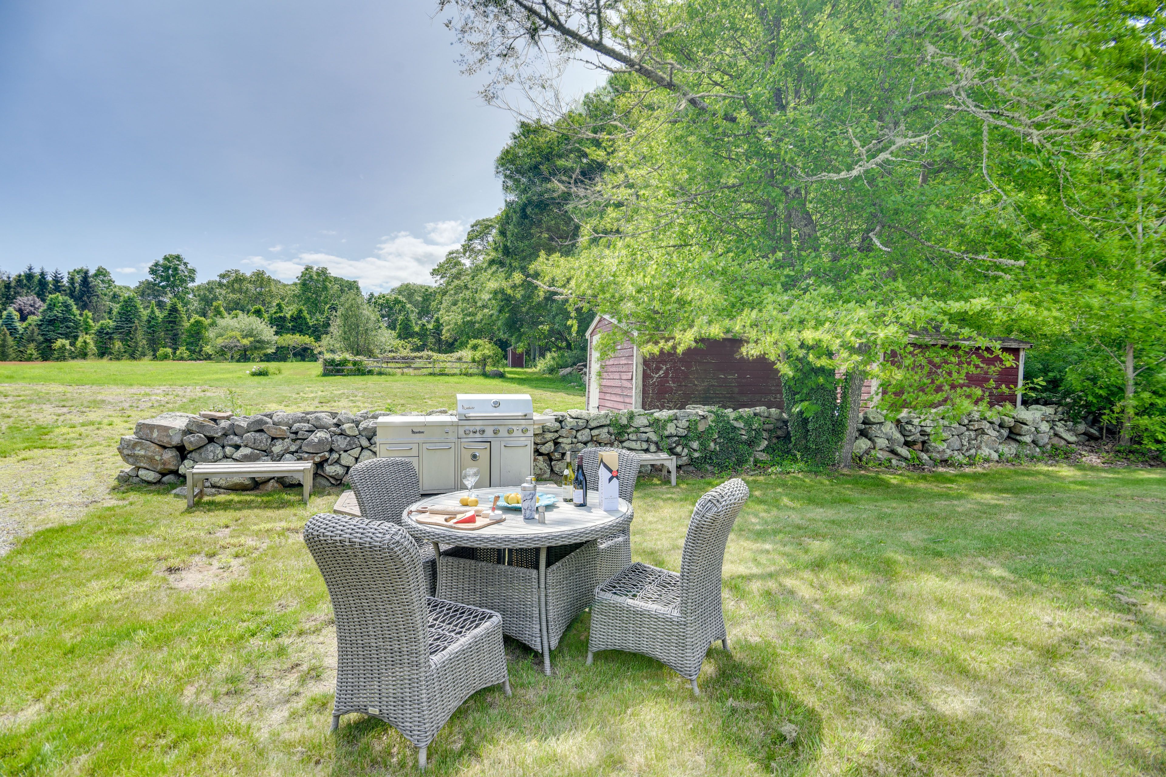 Spacious Yard | Gas Grill