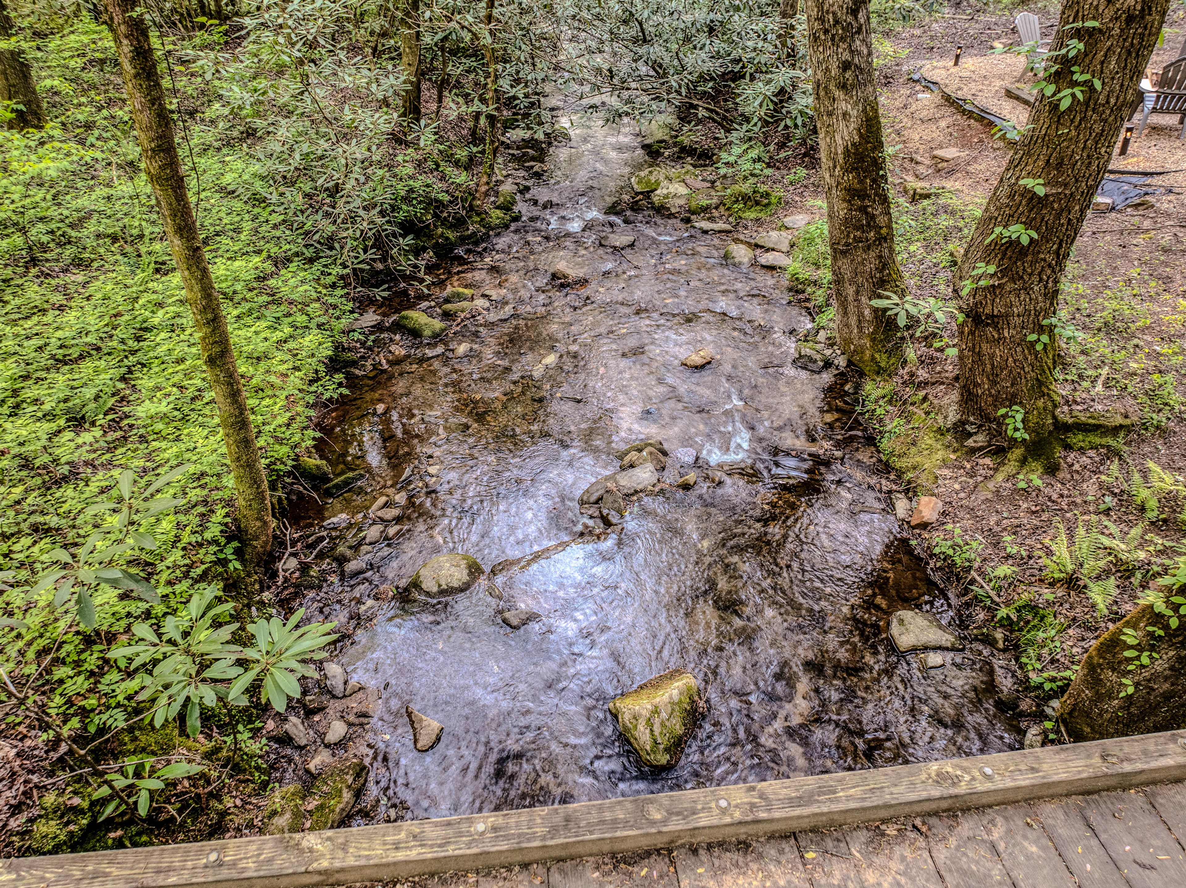 Creek On-Site