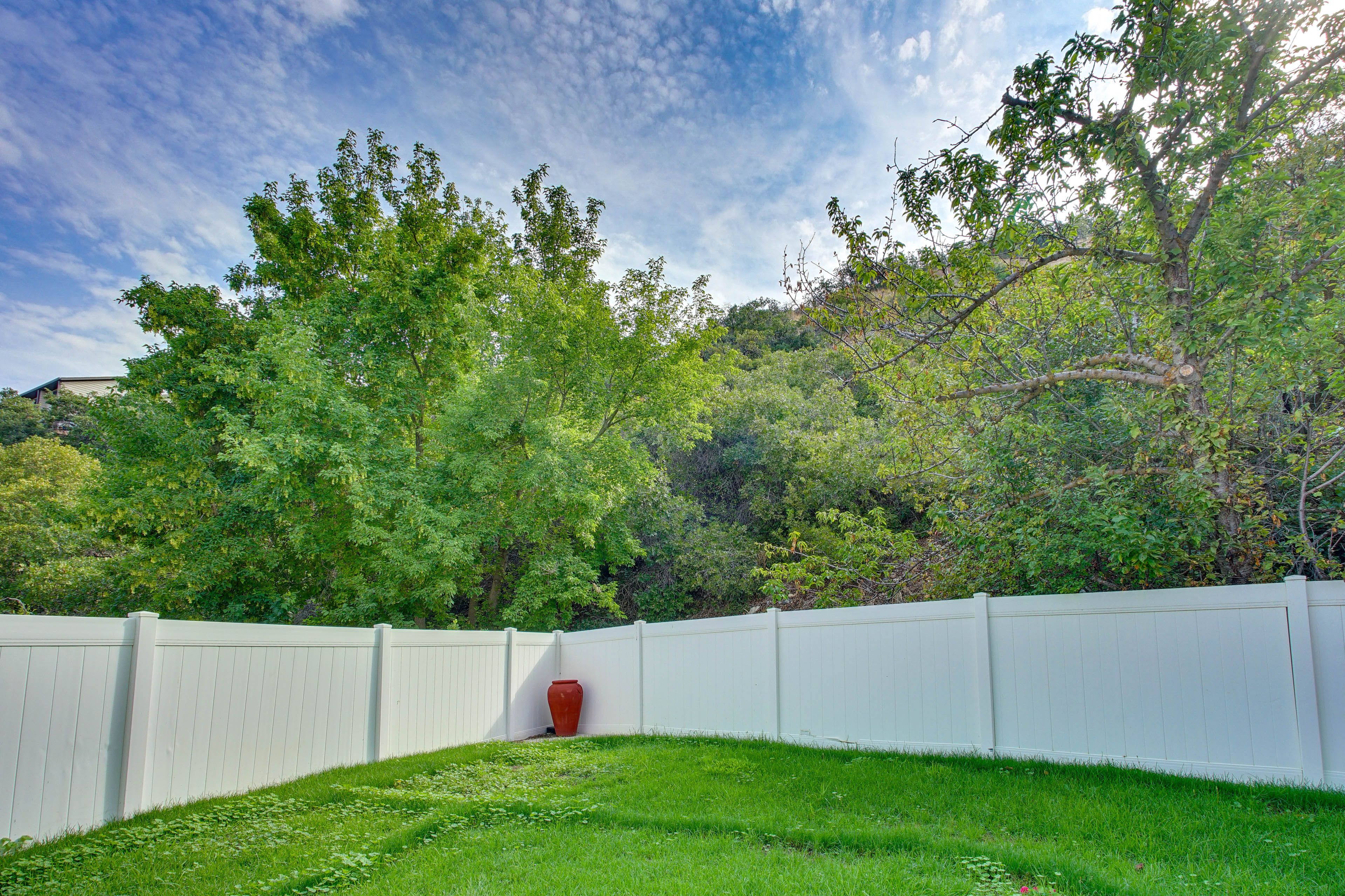 Fenced Backyard