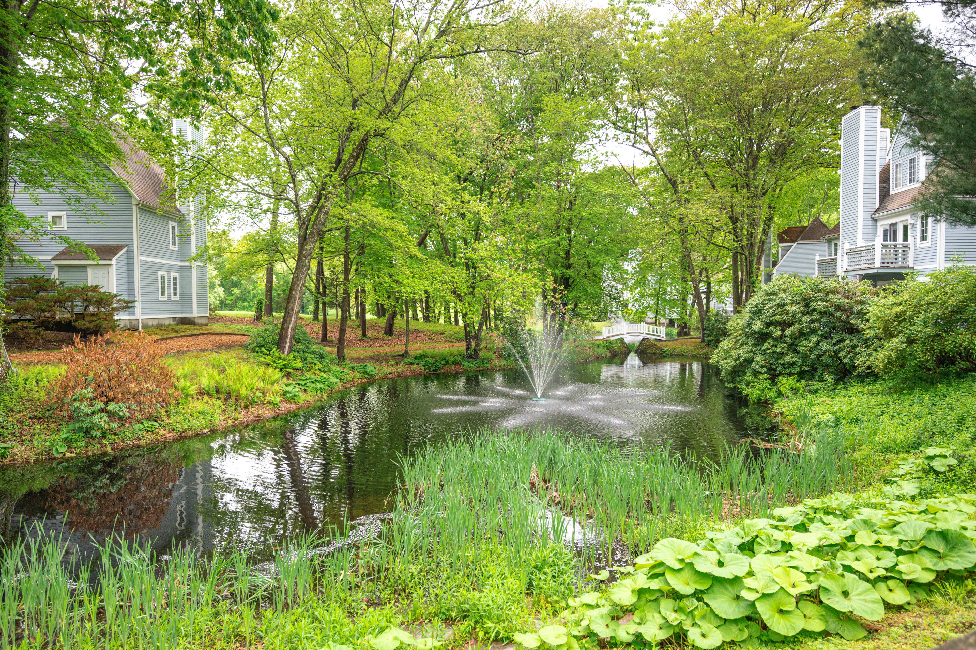 Community Amenities