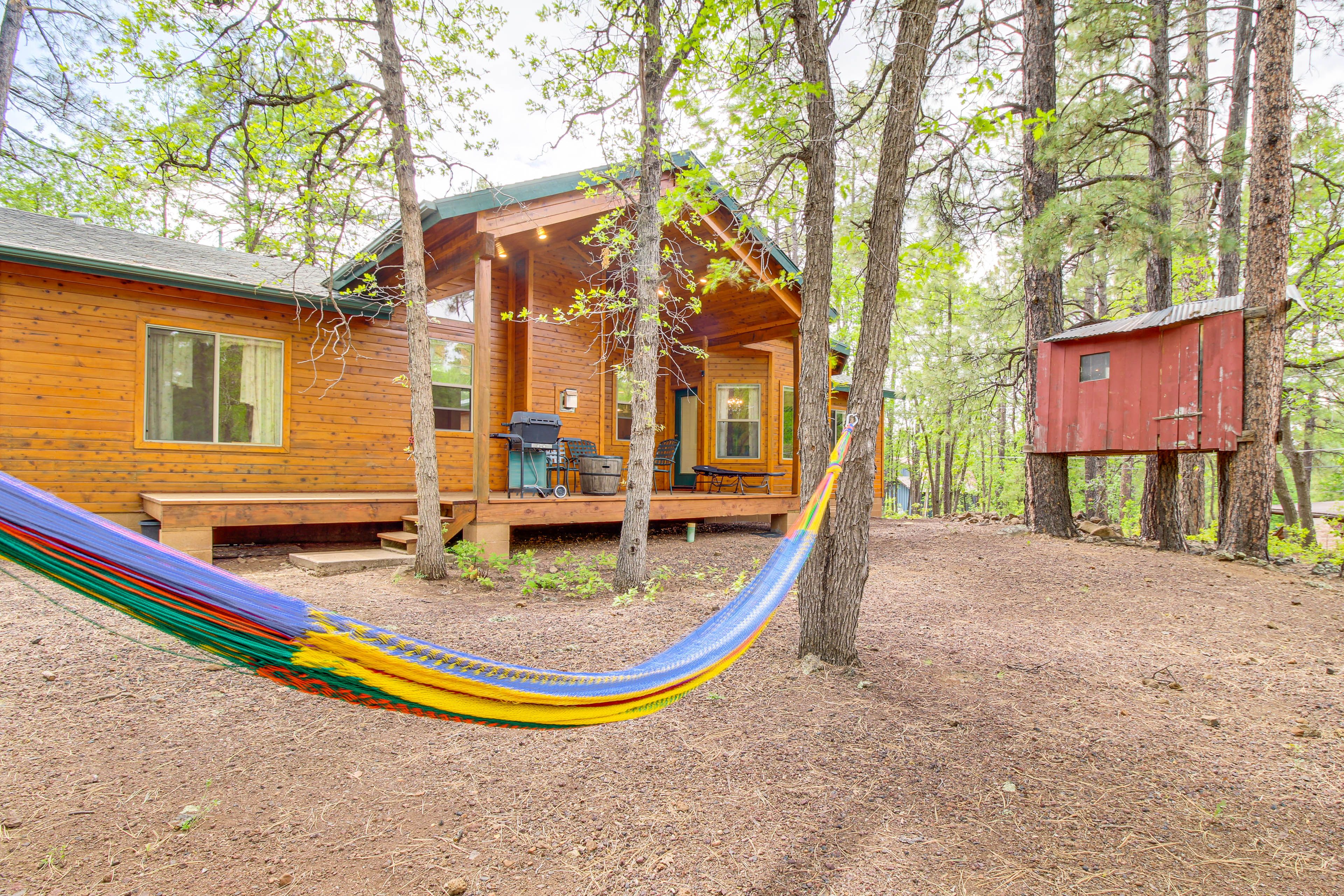 Hammock | Backyard